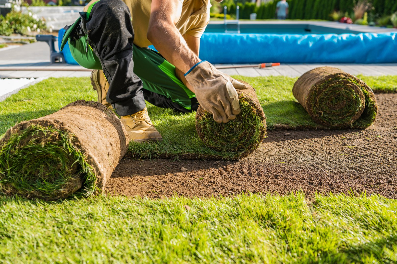 Large Rolls of Natural Grass Turfs Being Installed Inside a Backyard Garden. Landscaping Industry Theme.