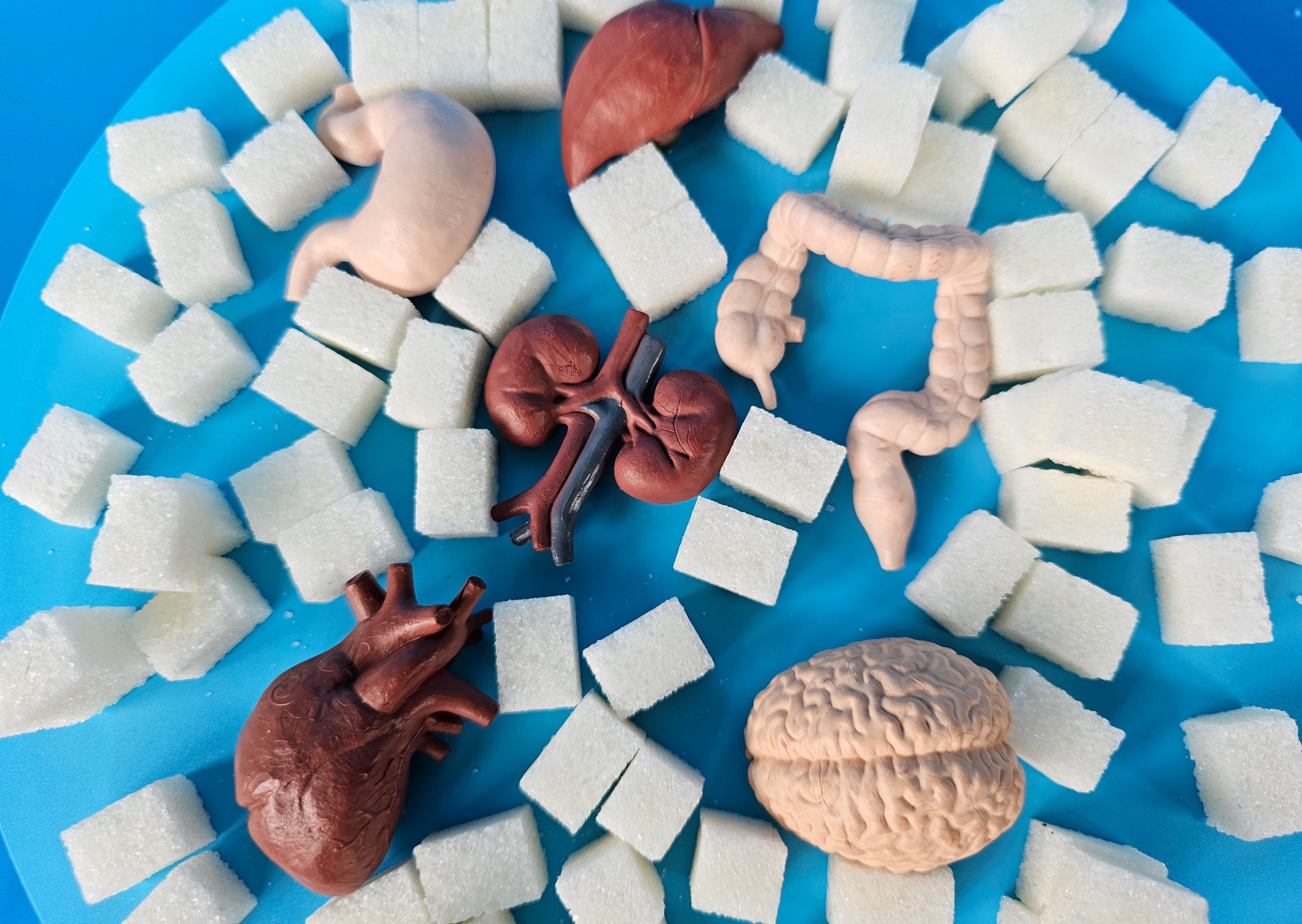 Effect of blood sugar levels on body condition showing sugar affecting internal organs liver kidneys heart and stomach