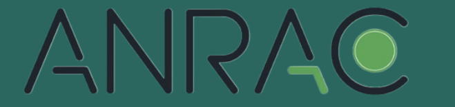 Placeholder Logo