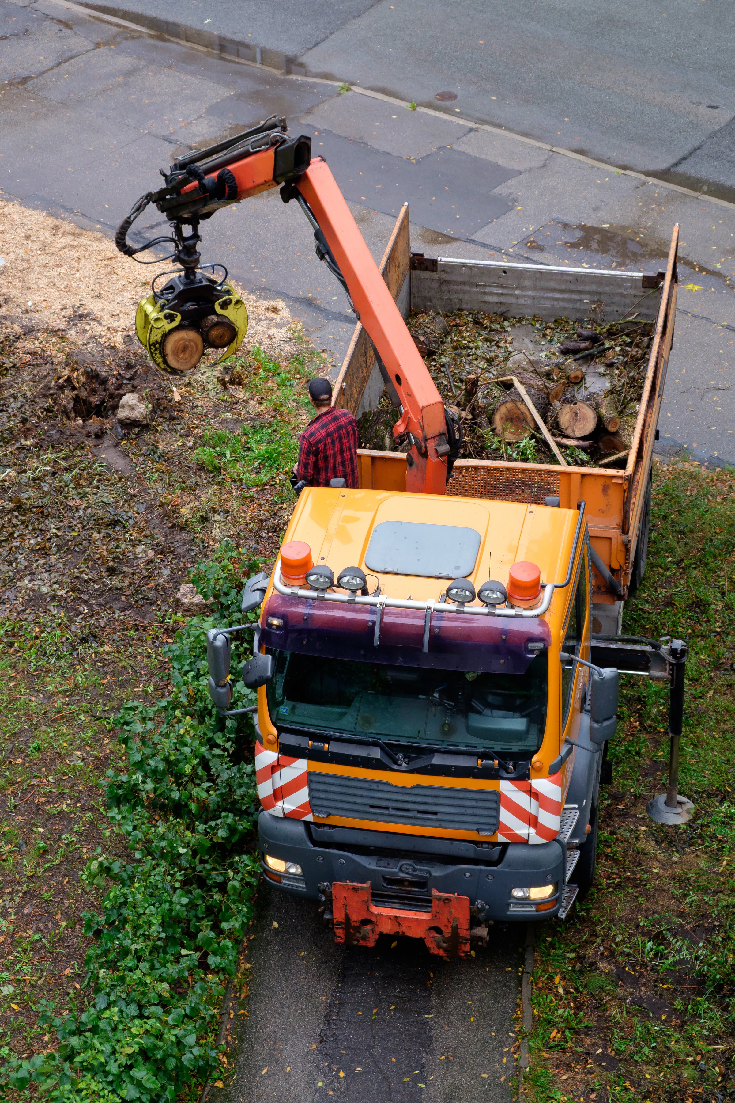 Tree removal truck