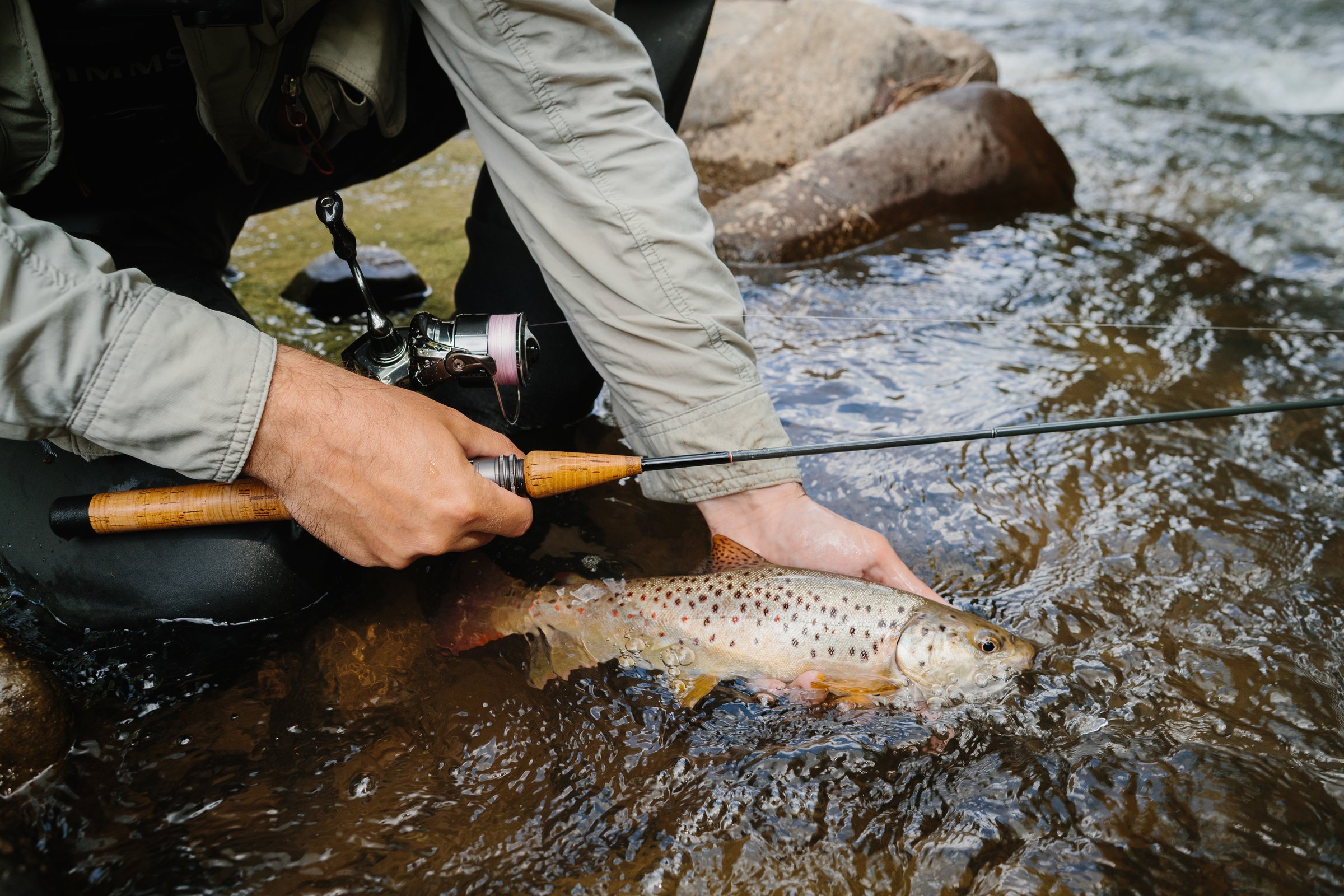 Fisherman gently releasing a vibrant brown trout back into the flowing river, celebrating the joy of catch and release in nature's tranquility