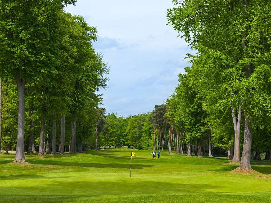 Forest Pines golf course and facilities