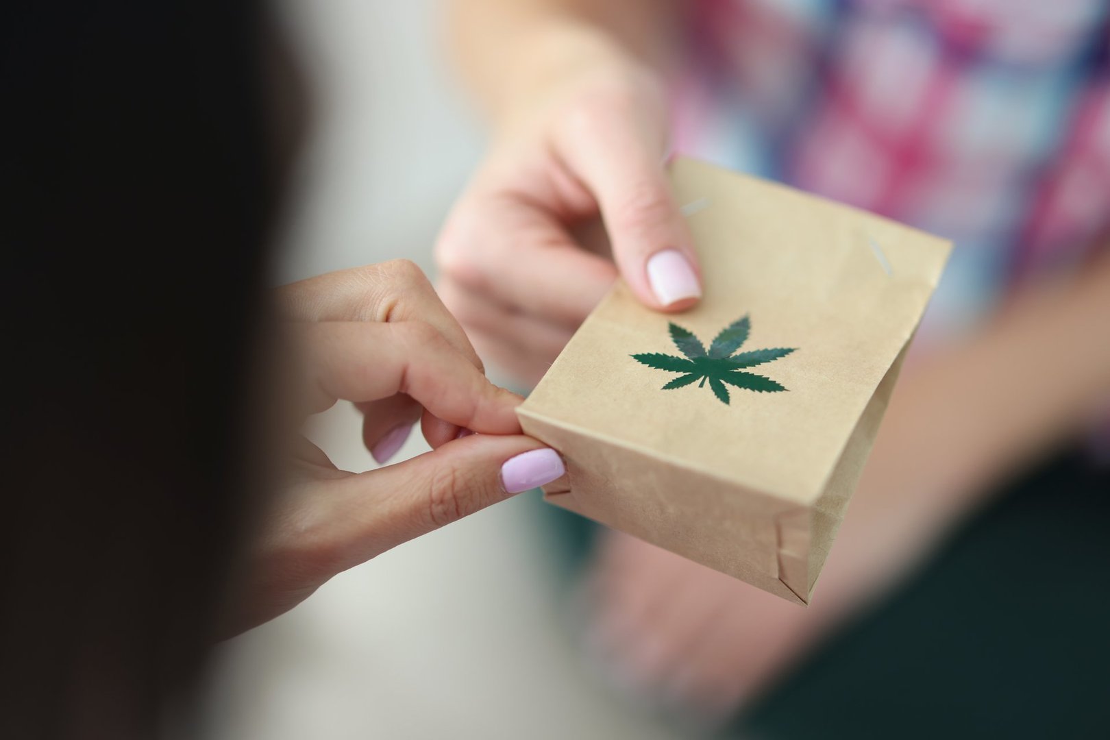 Close-up of woman giving paper bag of marijuana, use and storage medical marijuana. Legalized narcotic herb. Treating pain, stress and insomnia, alternative medicine concept