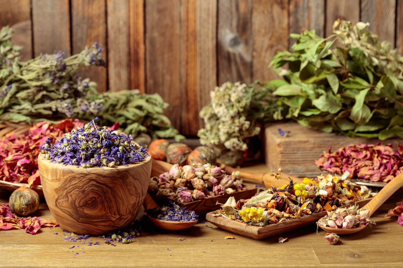 Various dried medicinal plants, herbs, and flowers on an old wooden background. Concept of herbal medicine or aromatherapy.