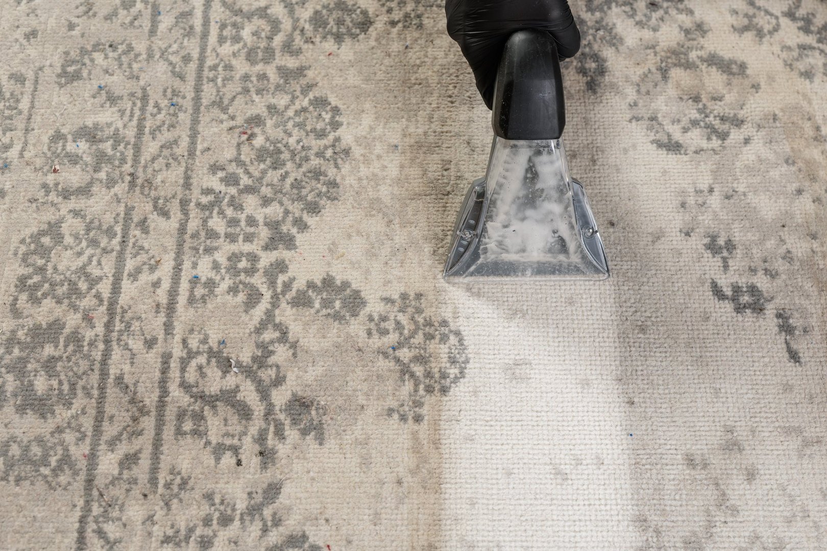 Extractor nozzle reveals contrast between dirty and cleaned areas on patterned rug during professional carpet service