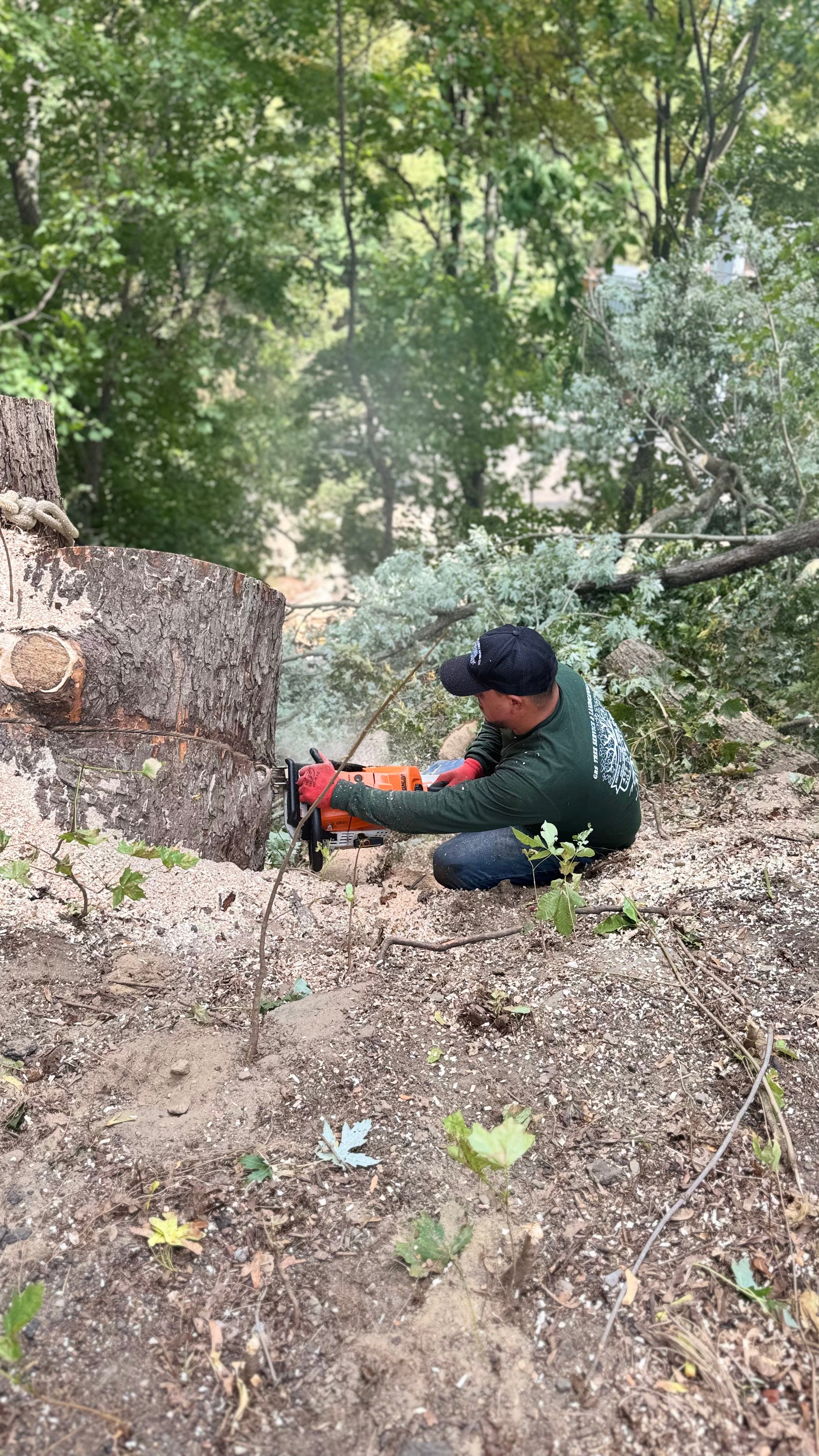 GRS Tree Service work