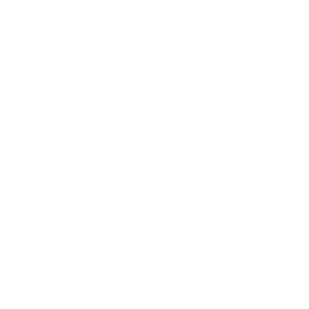 Owl Nation Music Group