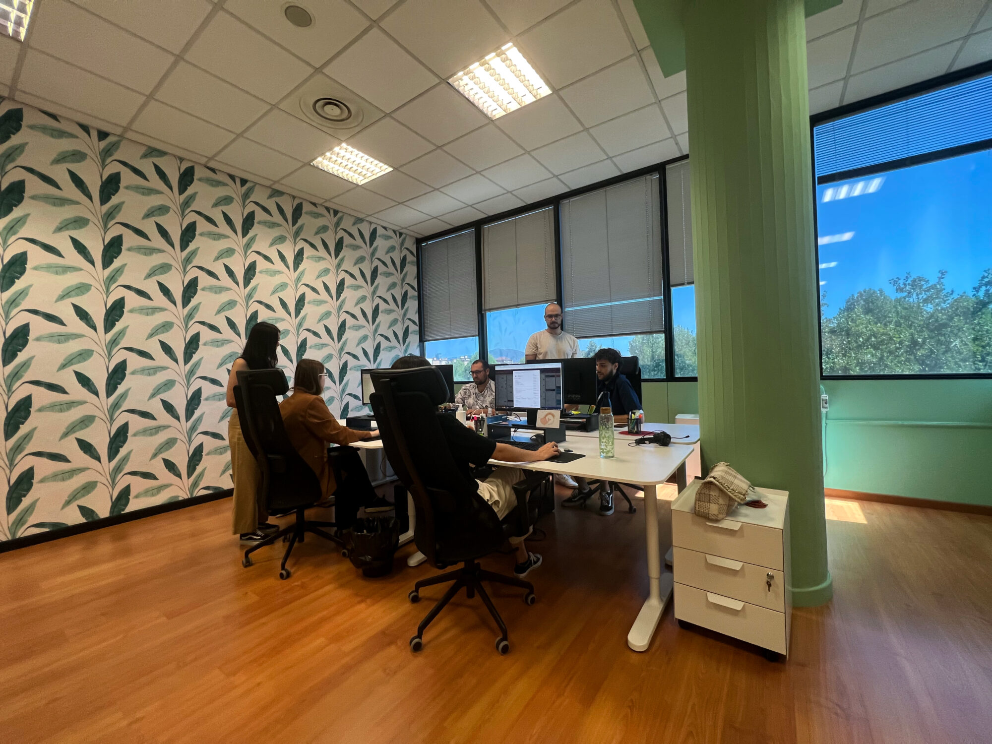 Sviluppo e ottimizzazione