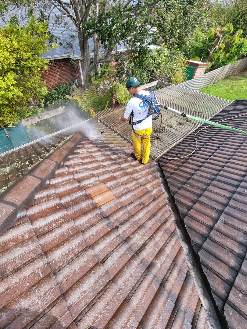 Quality Painting Group tile roof restoration project showing professional tile roof work