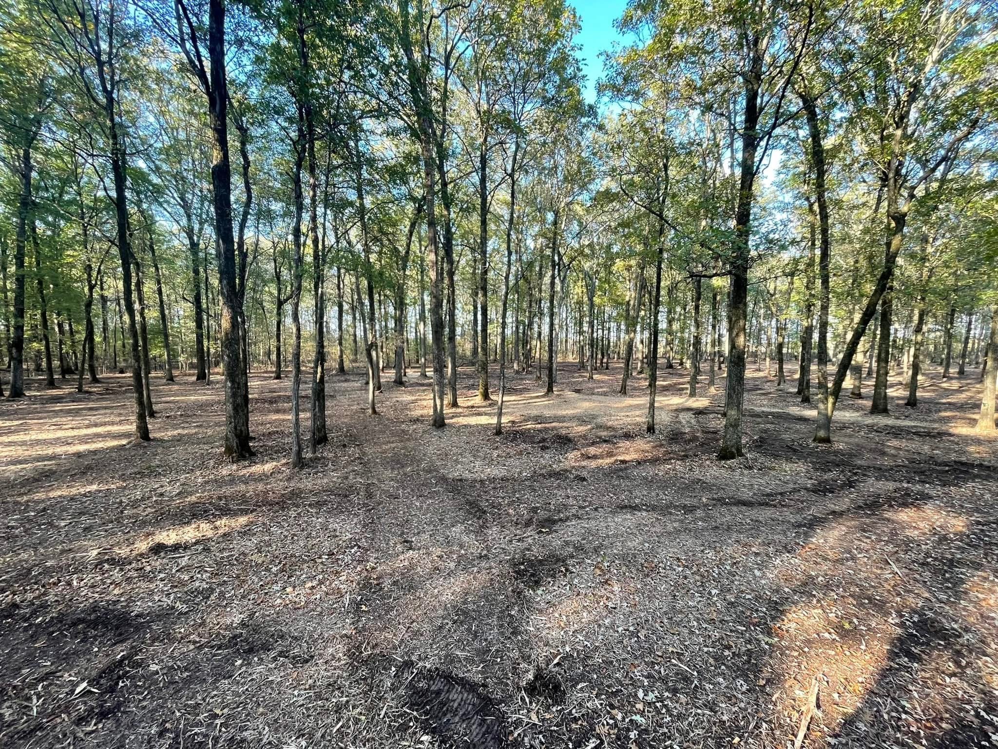 Completed land clearing project showing professional results