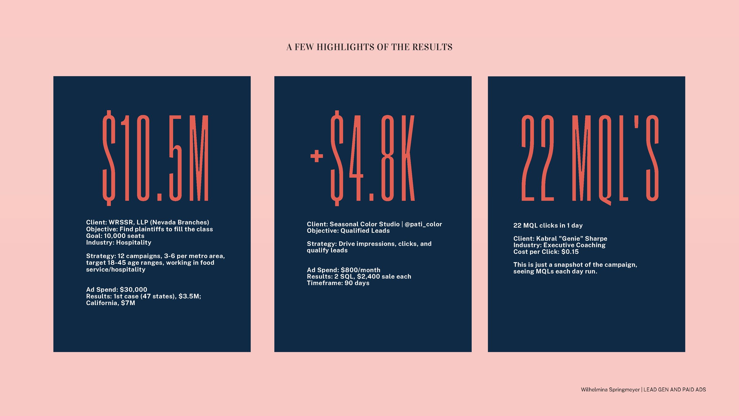 Paid Ads and Lead Generation Portfolio showcasing campaign results and strategies