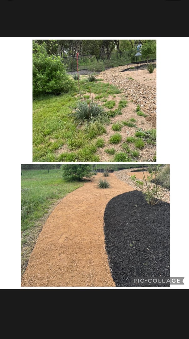 Rivas Lawn Care project photo