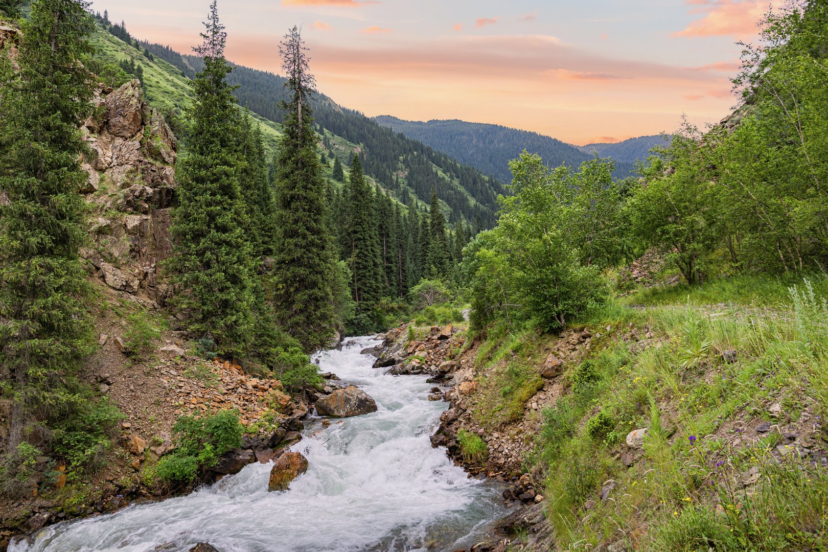 Mountain river flowing gracefully through a lush green valley, surrounded by coniferous forests, illuminated by a stunning sunset