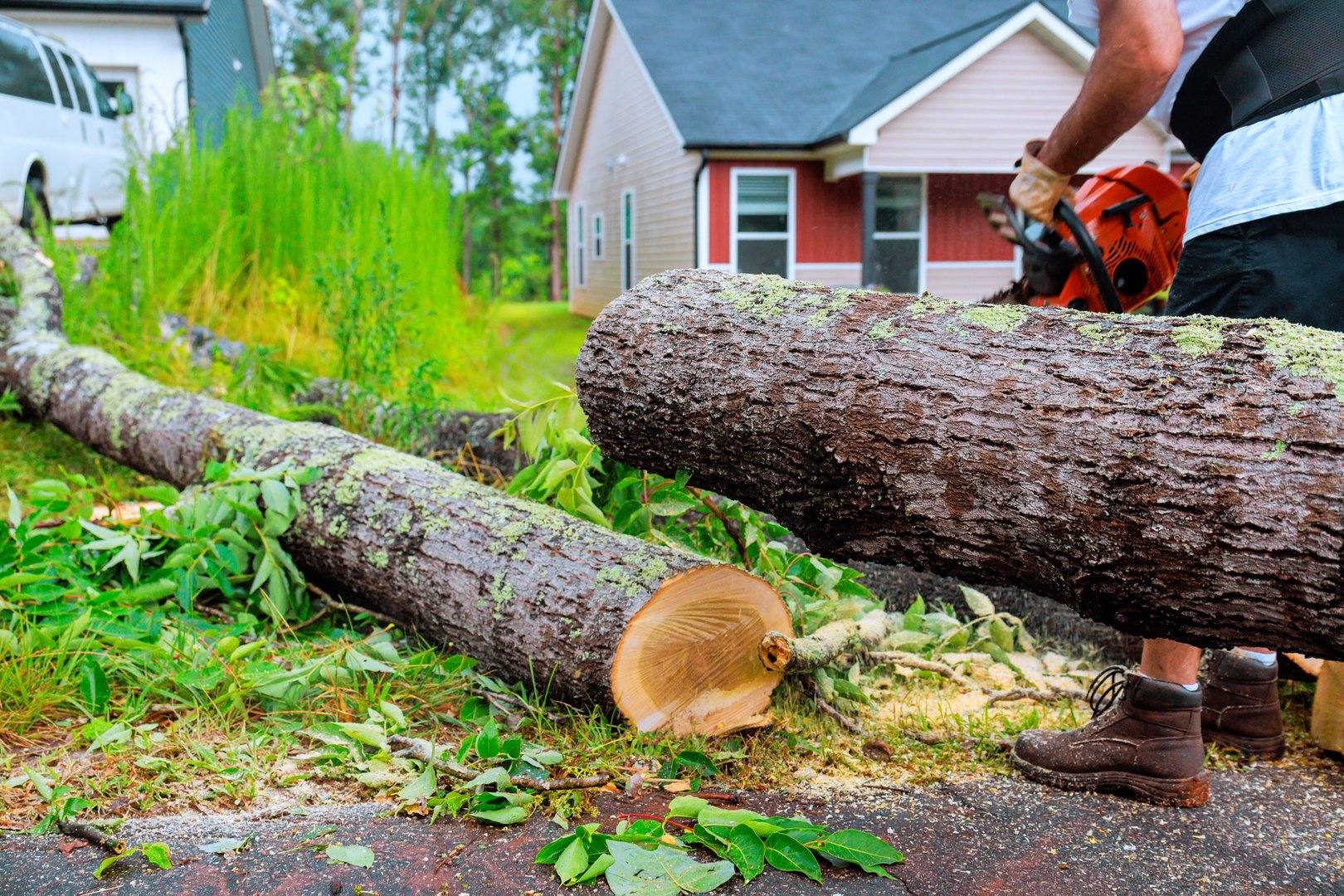 Worker uses chainsaw to cut down fallen tree in yard surrounded by houses during recent storm