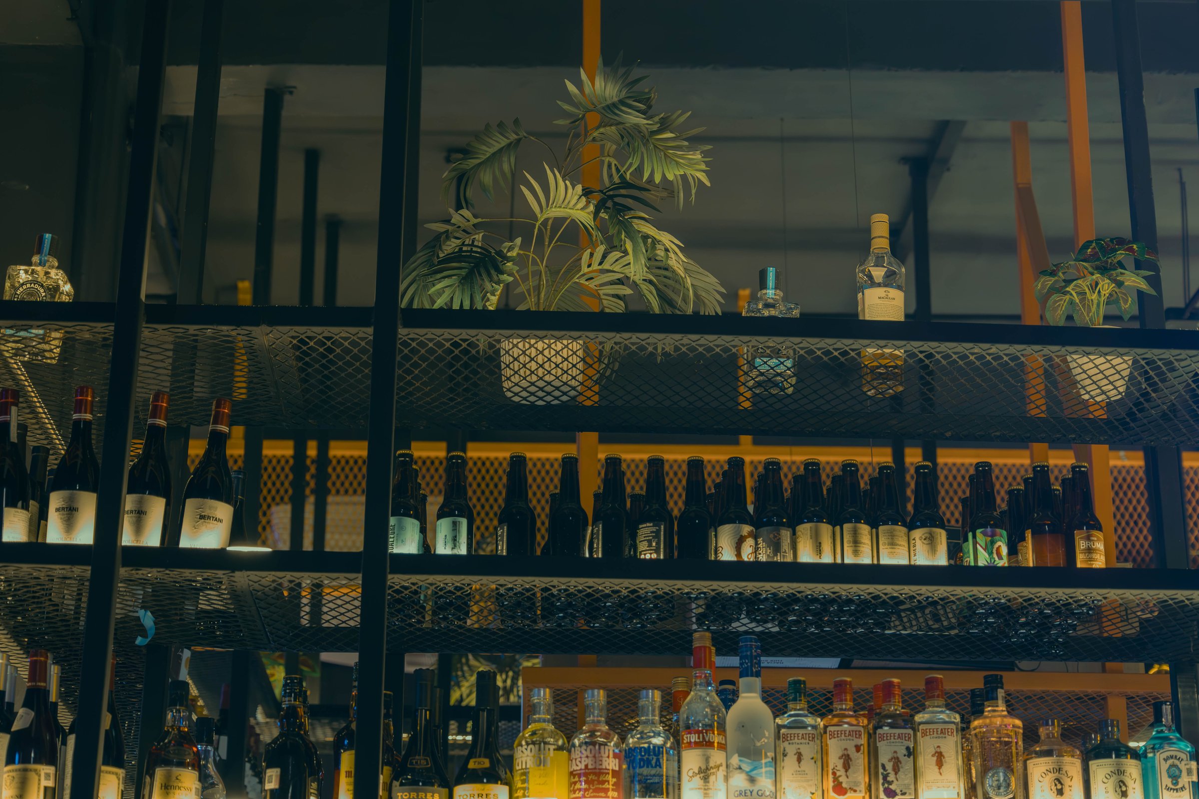 The various liquor bottles arranged on a bar counter