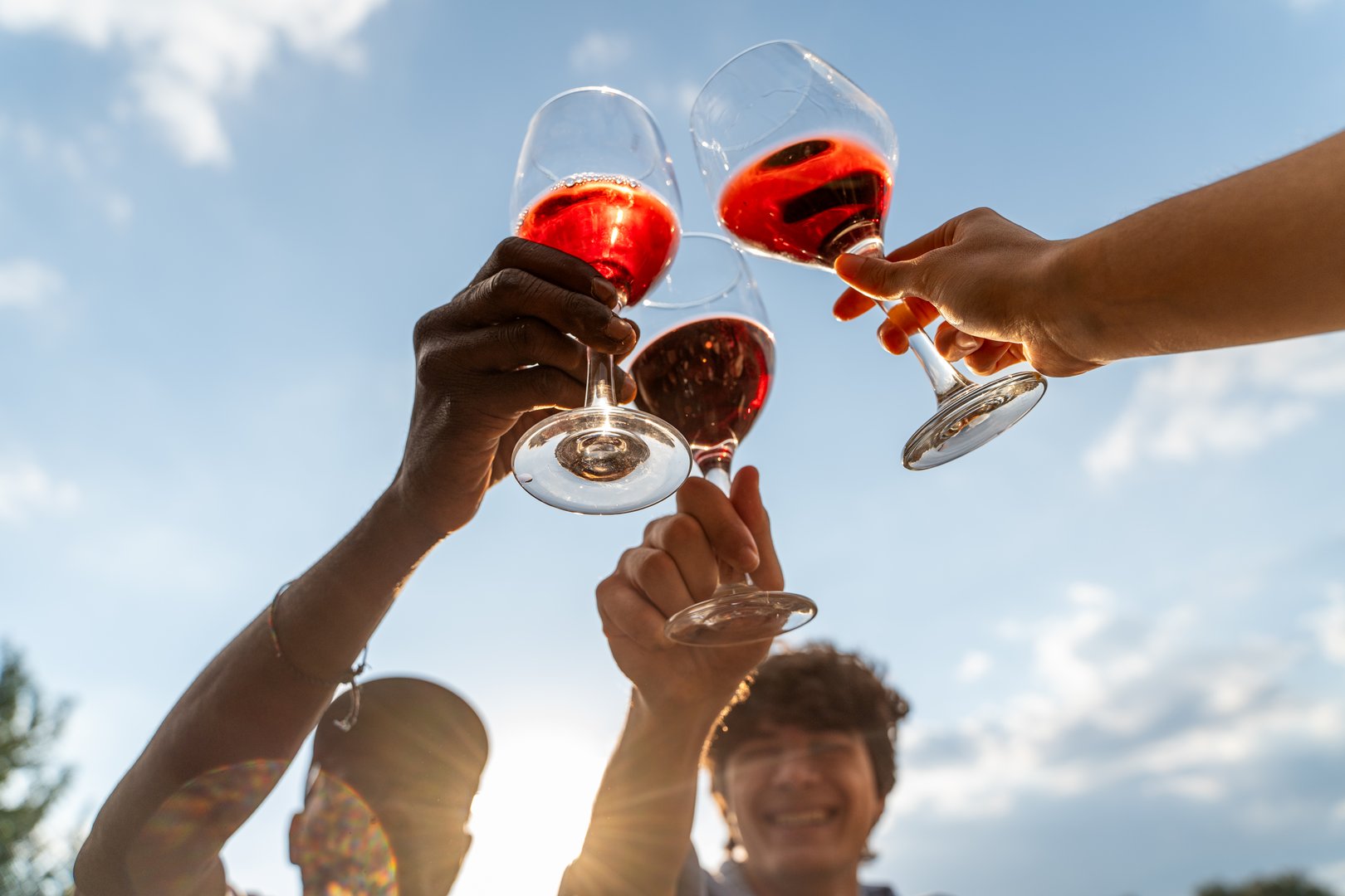 Diverse group of friends toasting with wine glasses during sunset gathering. Natural candid moment of celebration and friendship in casual outdoor setting