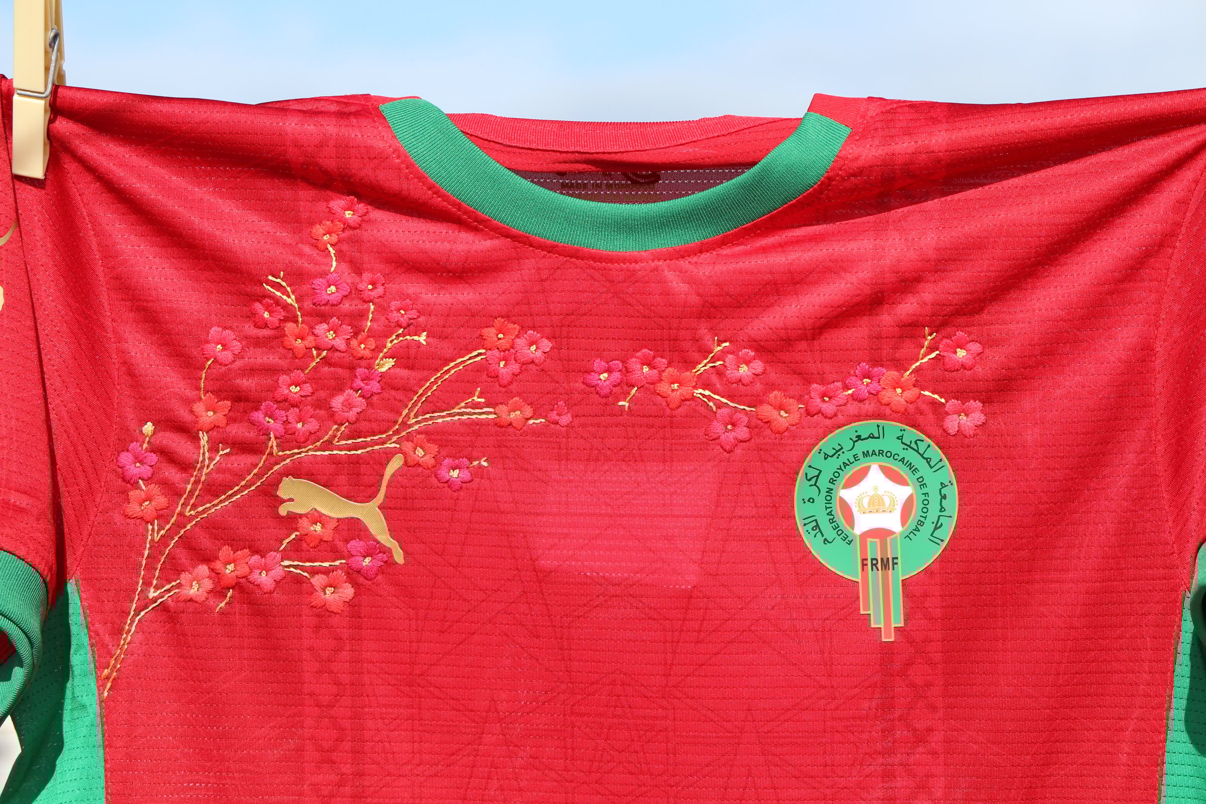 Arabesque Dream Jersey Main Photo