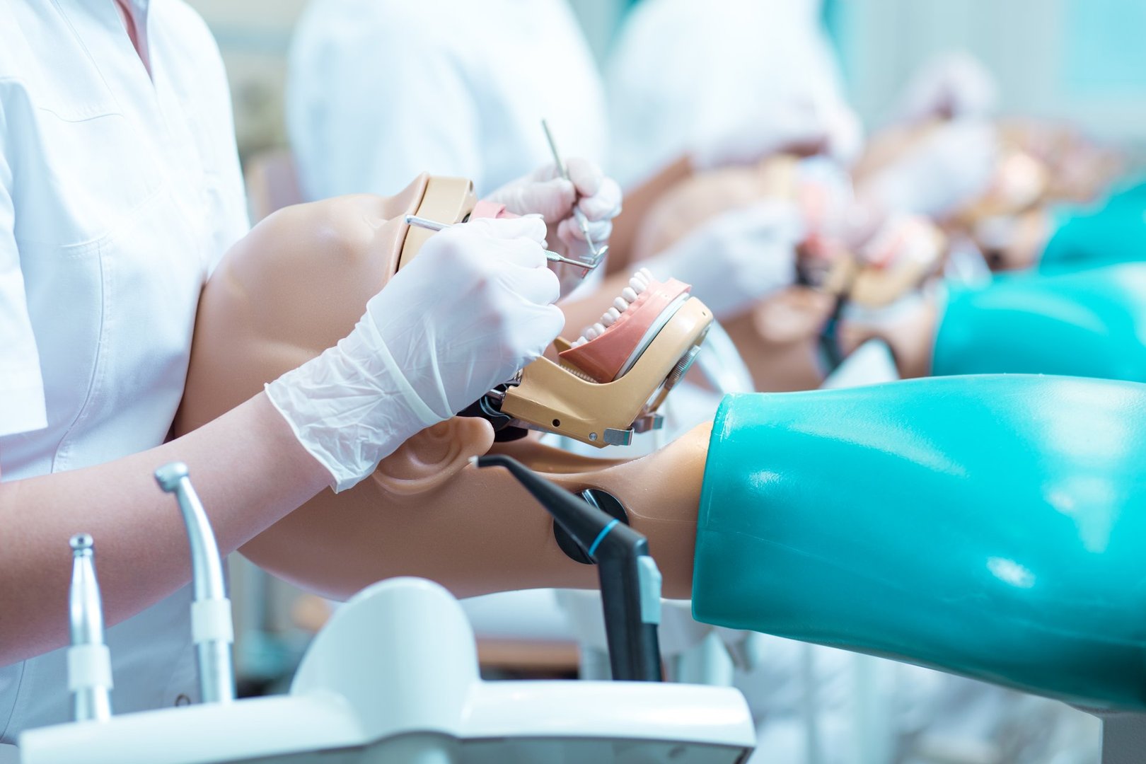 Close-up of dentistry student in gloves during classes working on anatomical model