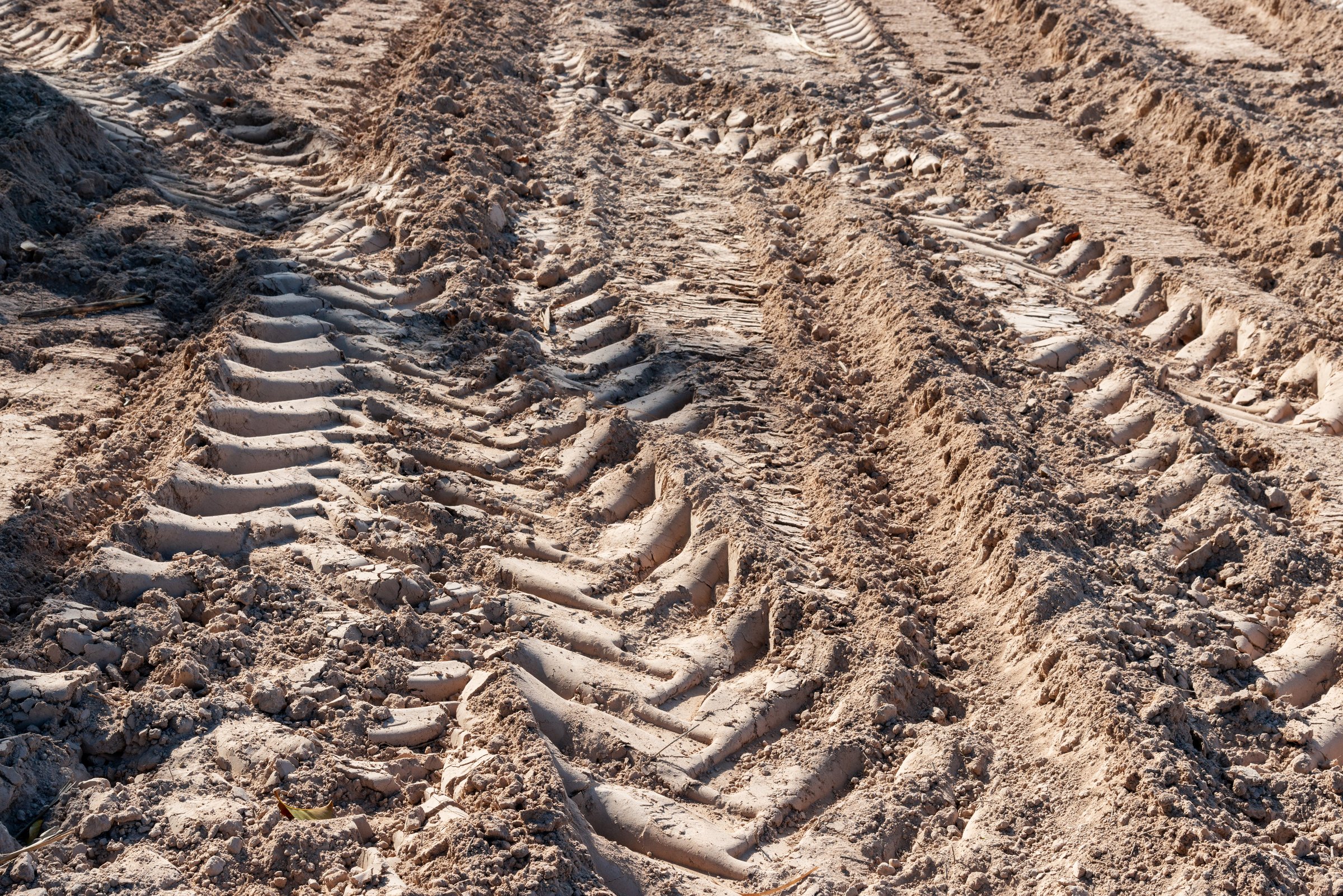 Vehicle and tractor tire tread imprints on sand.