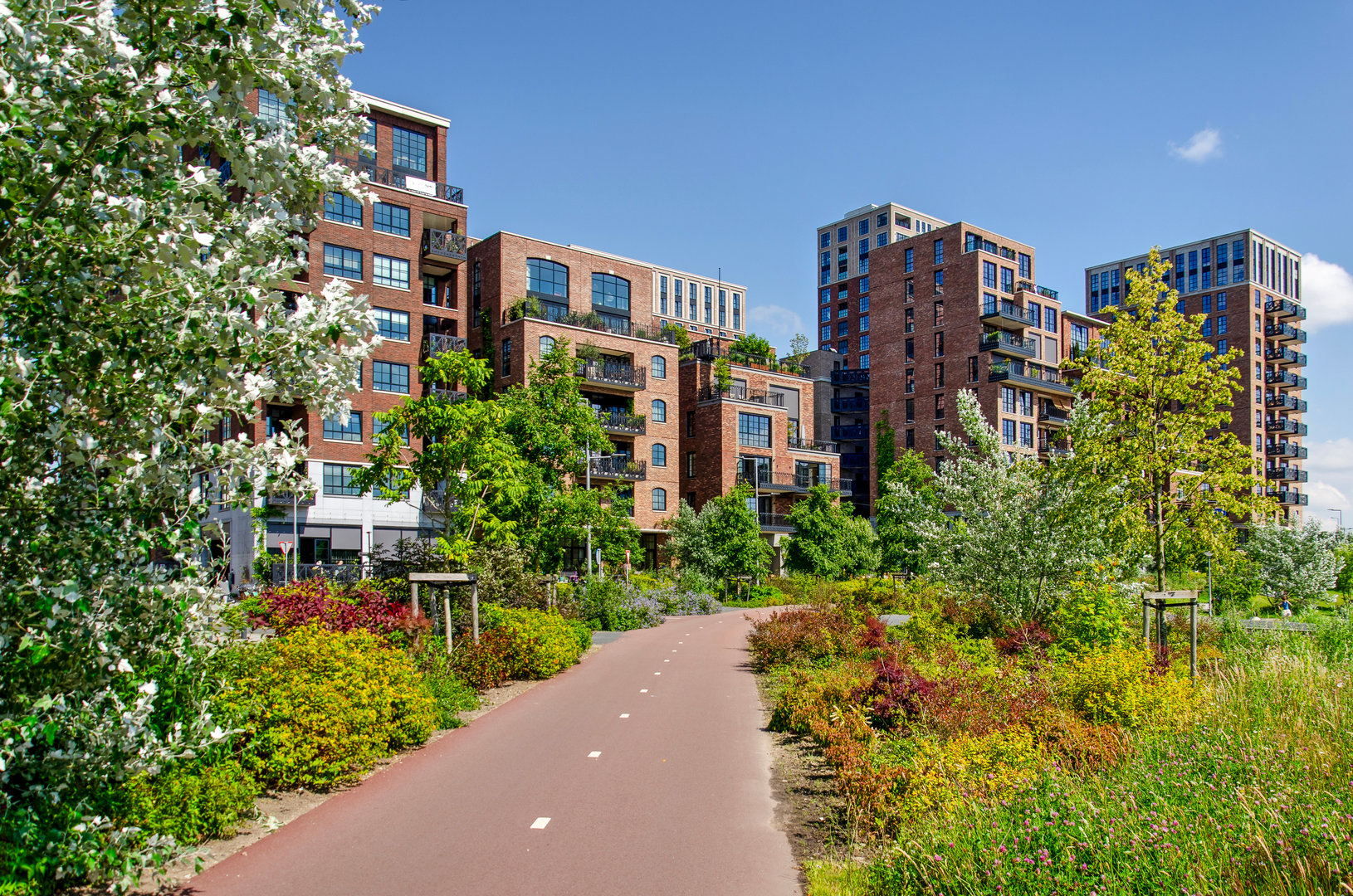 Photo taken in Rotterdam, Netherlands