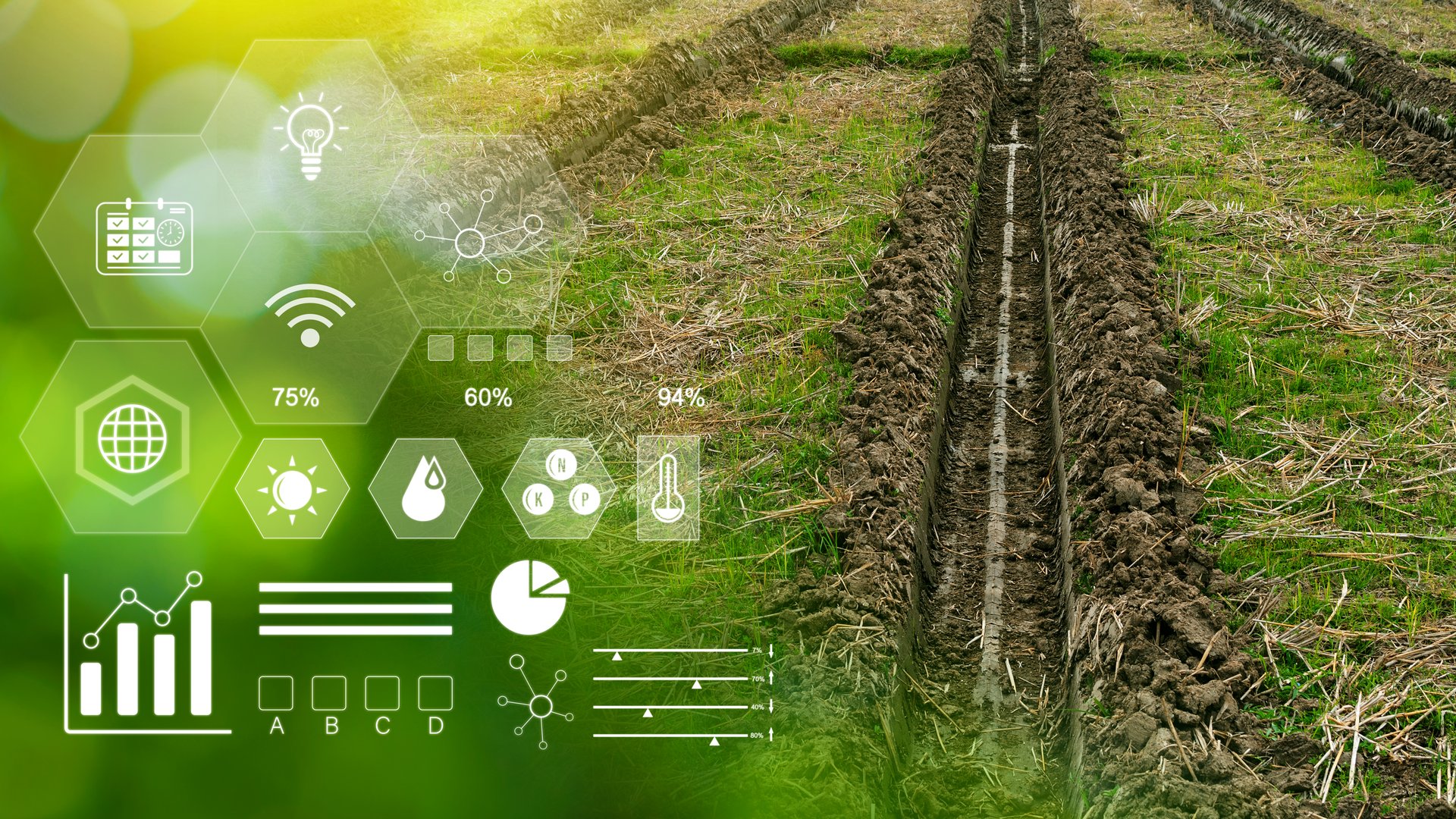 Infographics smart farming and precision agriculture with visual icon, Innovation technology for smart farm system, Agriculture management, smart technology concept modern technology.