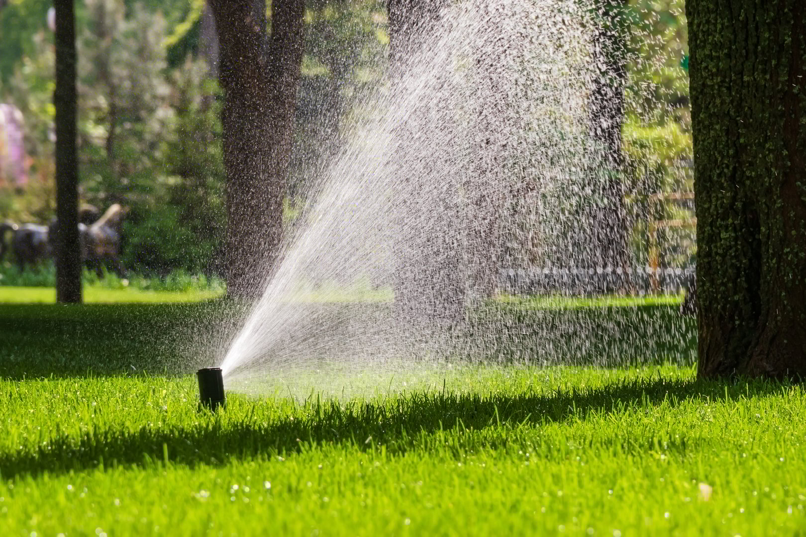 Flying splashes of water on green grass. Automatic sprinkler system (Irrigation system) for watering a lawn. Sunny summer day