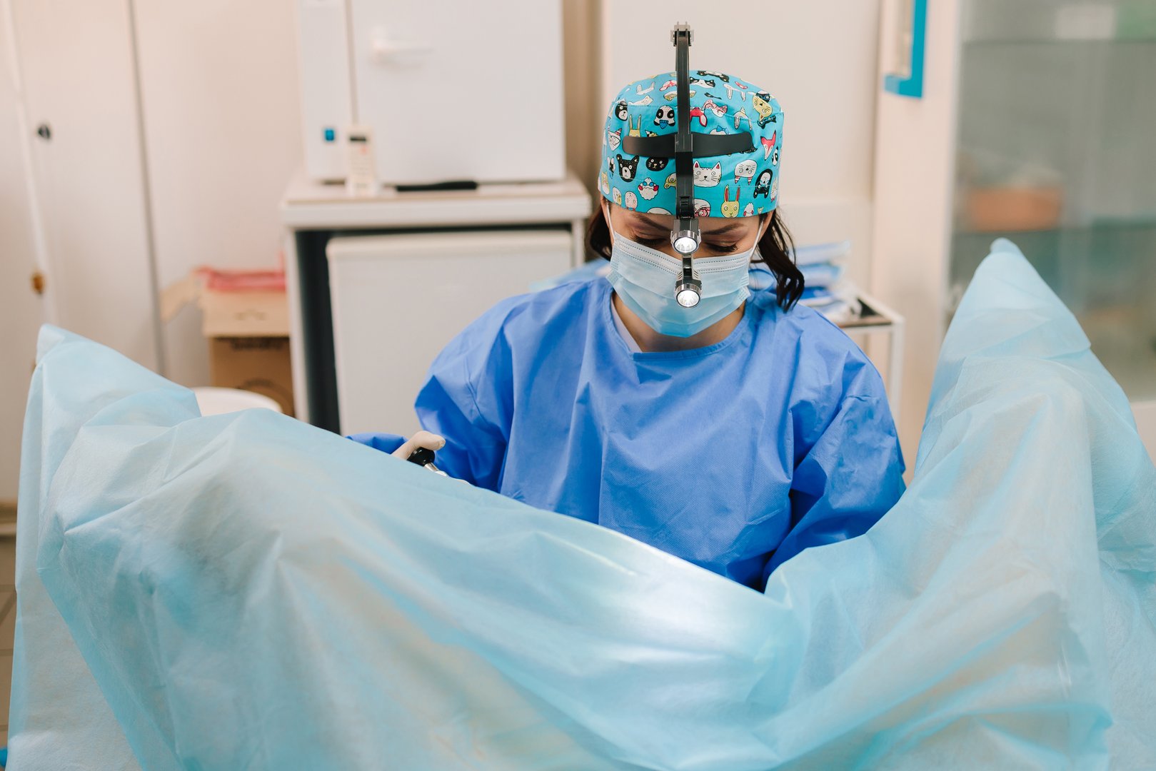 Minimally invasive gynecological procedure using sterile instruments. Ongoing gynecological procedure in a sterile gynecology clinic. Gynecologist performs intrauterine intervention