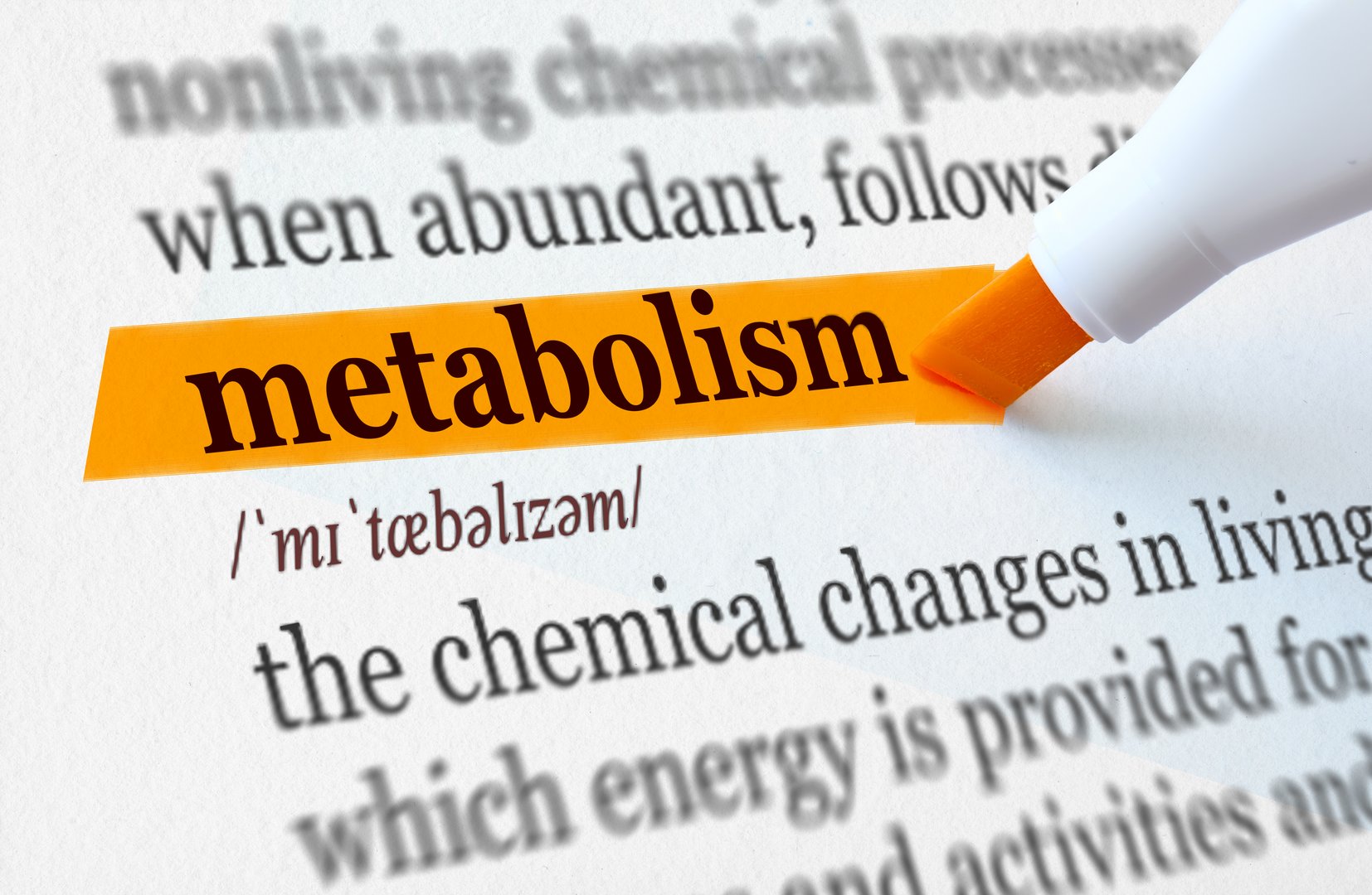 the definition of the word metabolism highlighted in orange