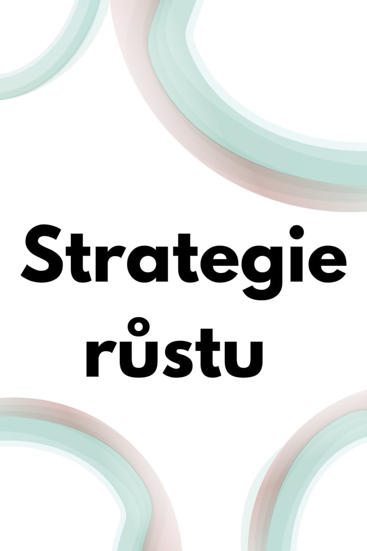 Strategie růstu PDF cover