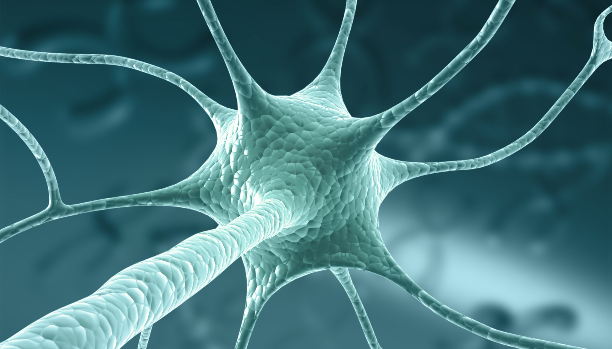 Human neuron system, nerve cells. 3d illustration