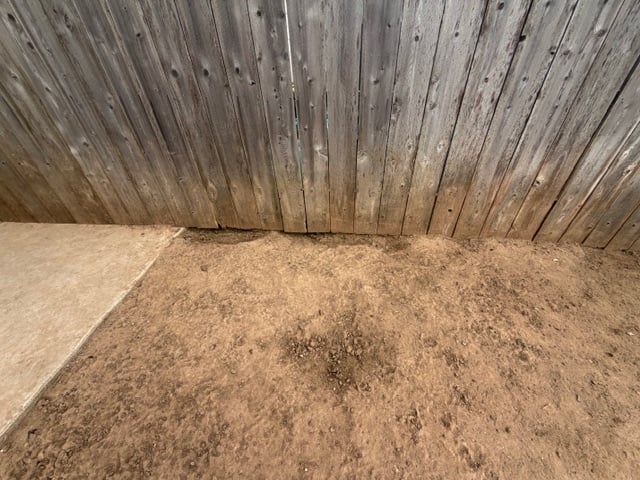 Bare soil before sod installation