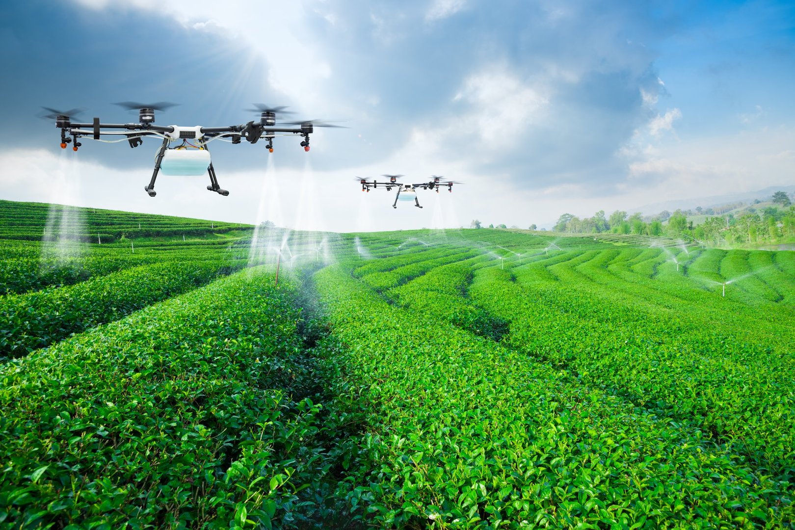 Sustainable Farming