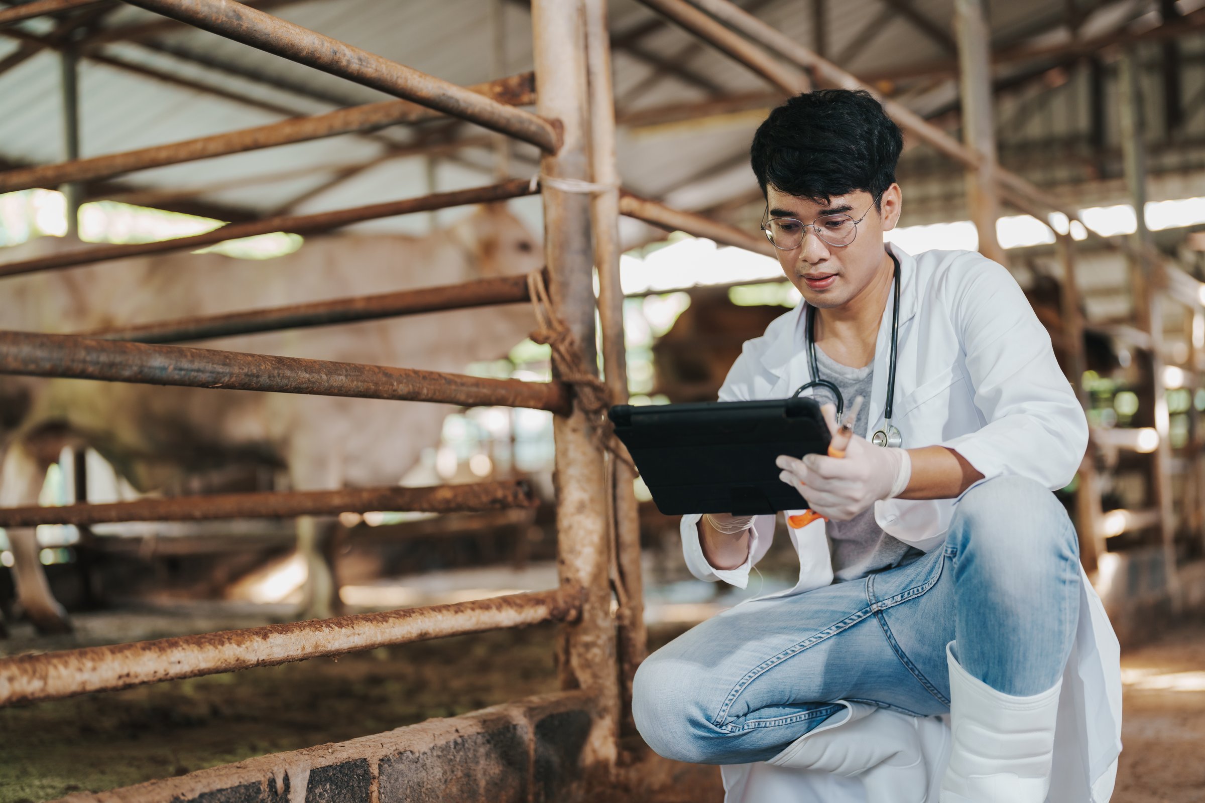 Modern livestock farm showcasing agricultural supply chain