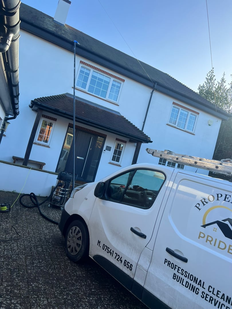 Professional cleaning service