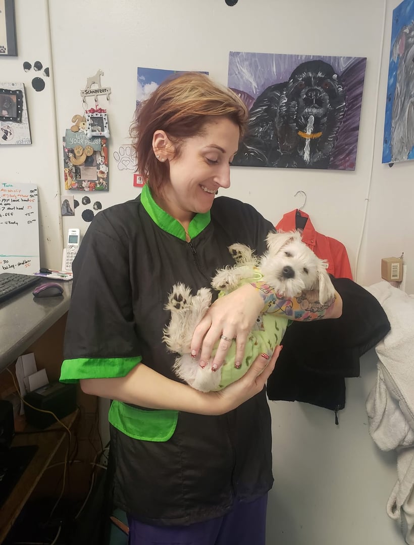 Happy dog after grooming at Puppy Love Grooming