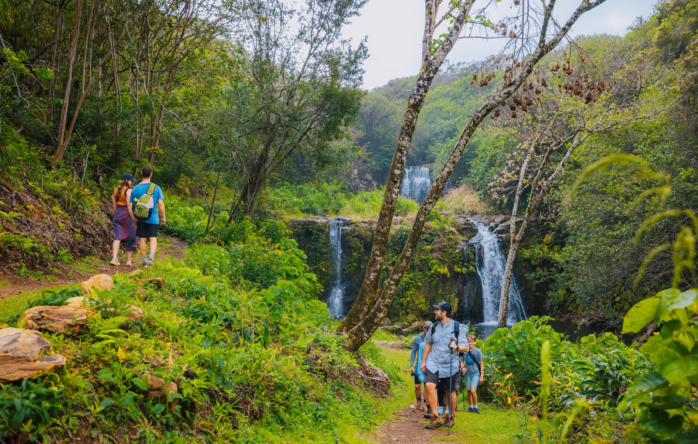 Kohala waterfall cascading into pool surrounded by lush tropical vegetation