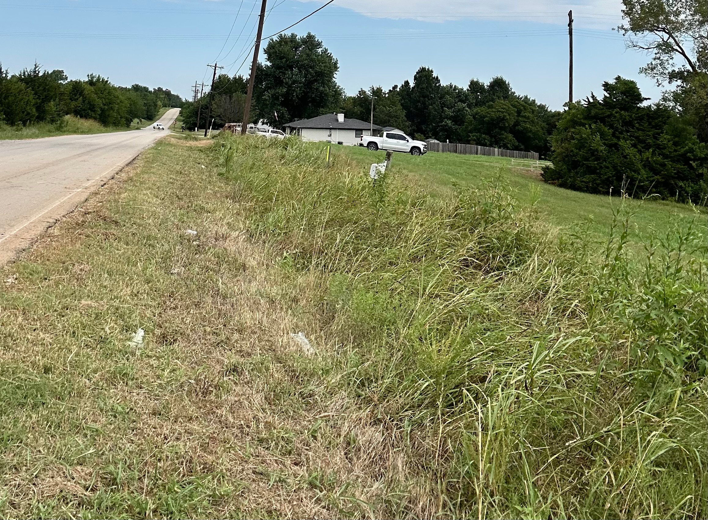 Before - Overgrown property