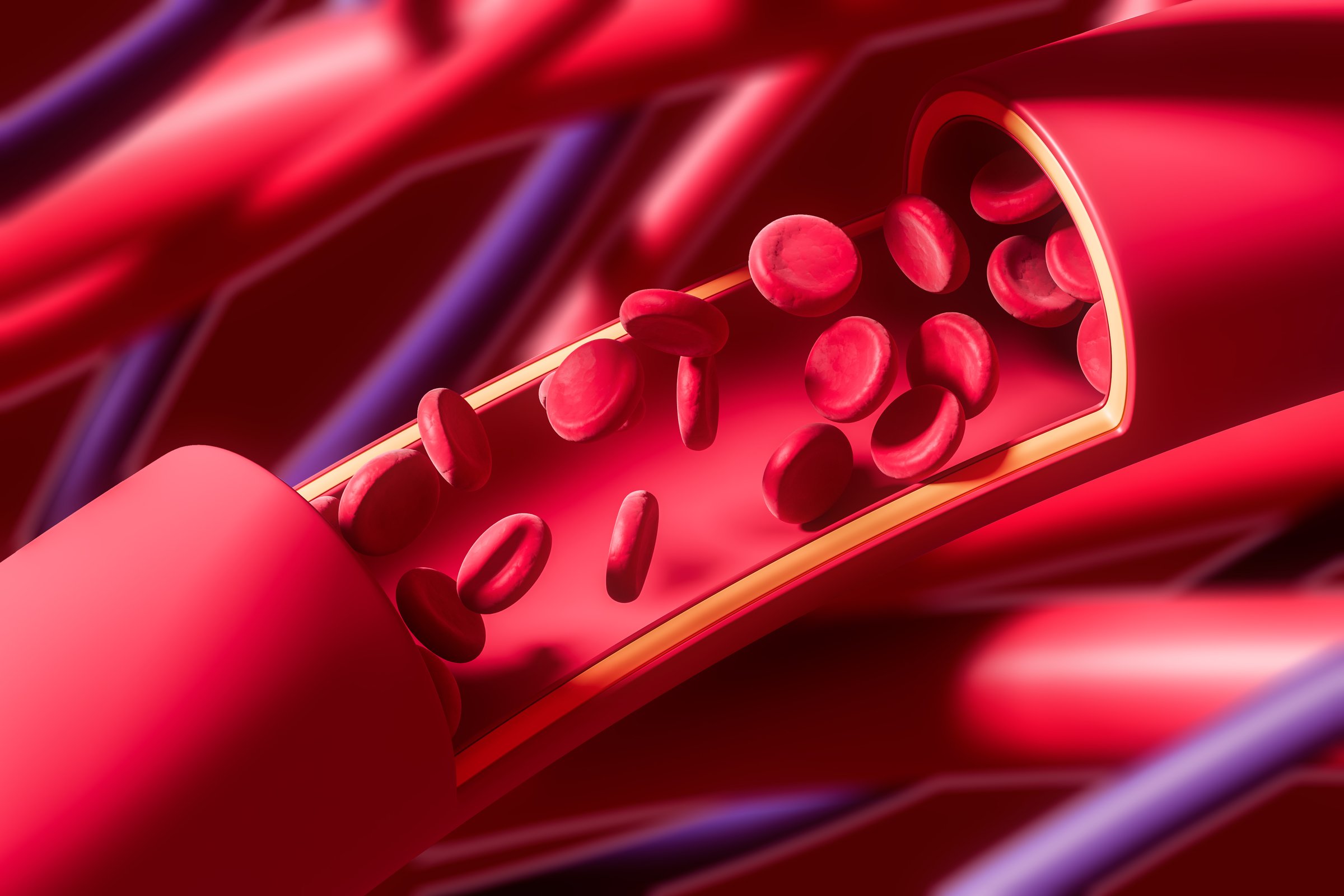 Red blood cells flowing inside a cutaway artery with a detailed anatomical background, in a smooth 3D Rendering style, concept of circulation and health