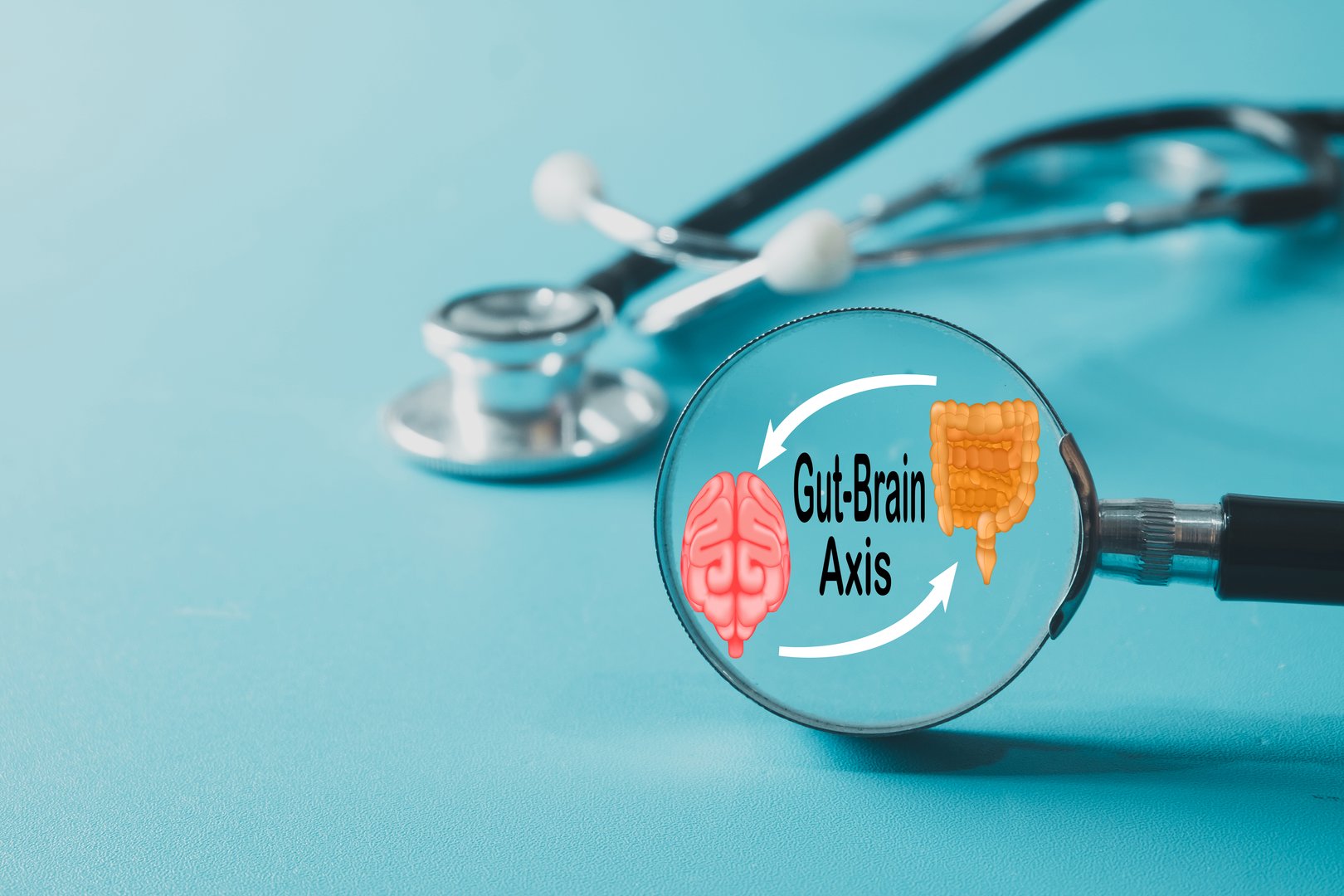 Medical concept of the Gut-Brain Axis. Stethoscope and magnifying glass inspect the connection between the brain and digestive system, symbolizing research on the microbiome and mental health.