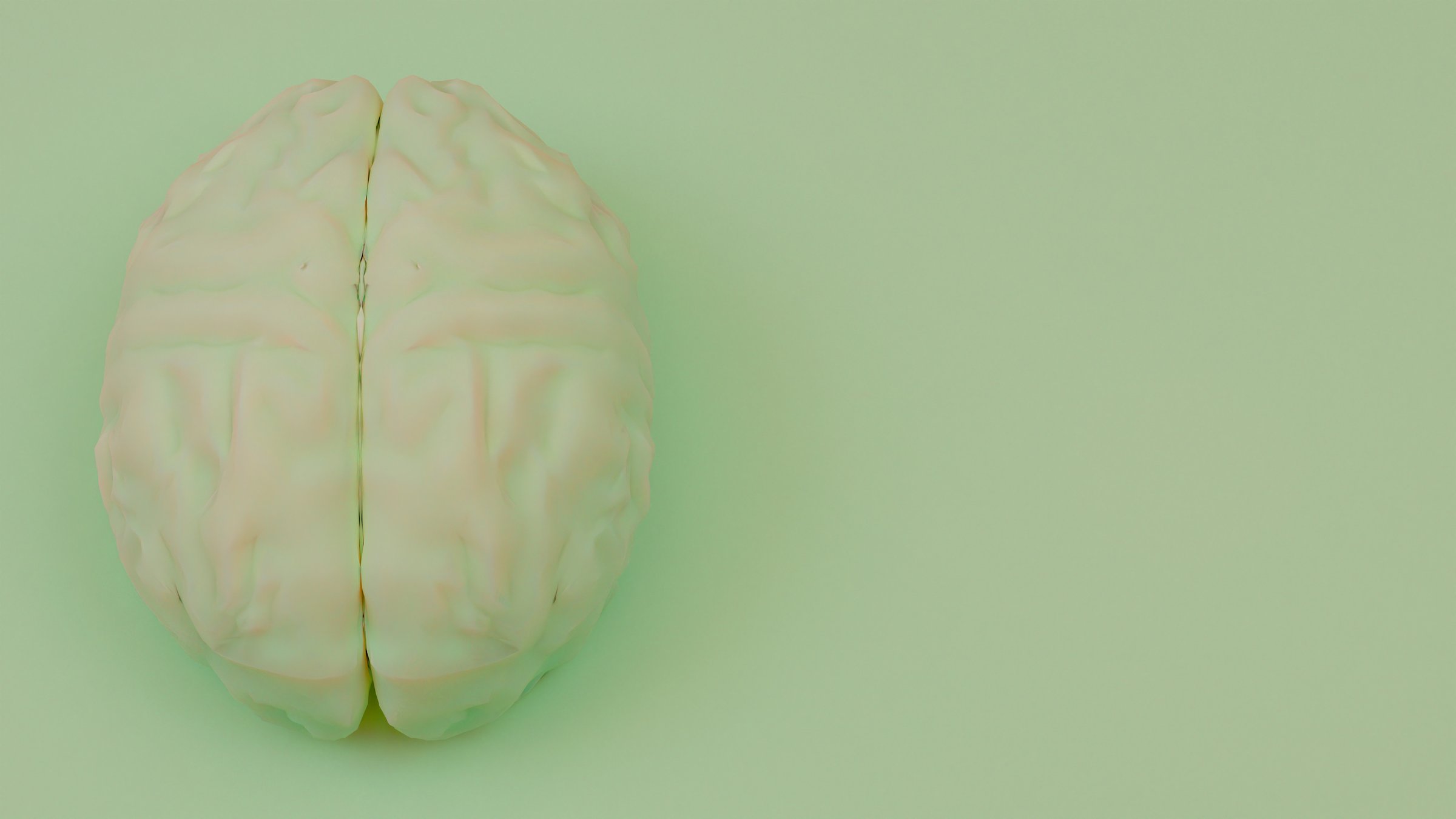 3d white brain model placed on smooth soft light green background with soft lighting and subtle shadow