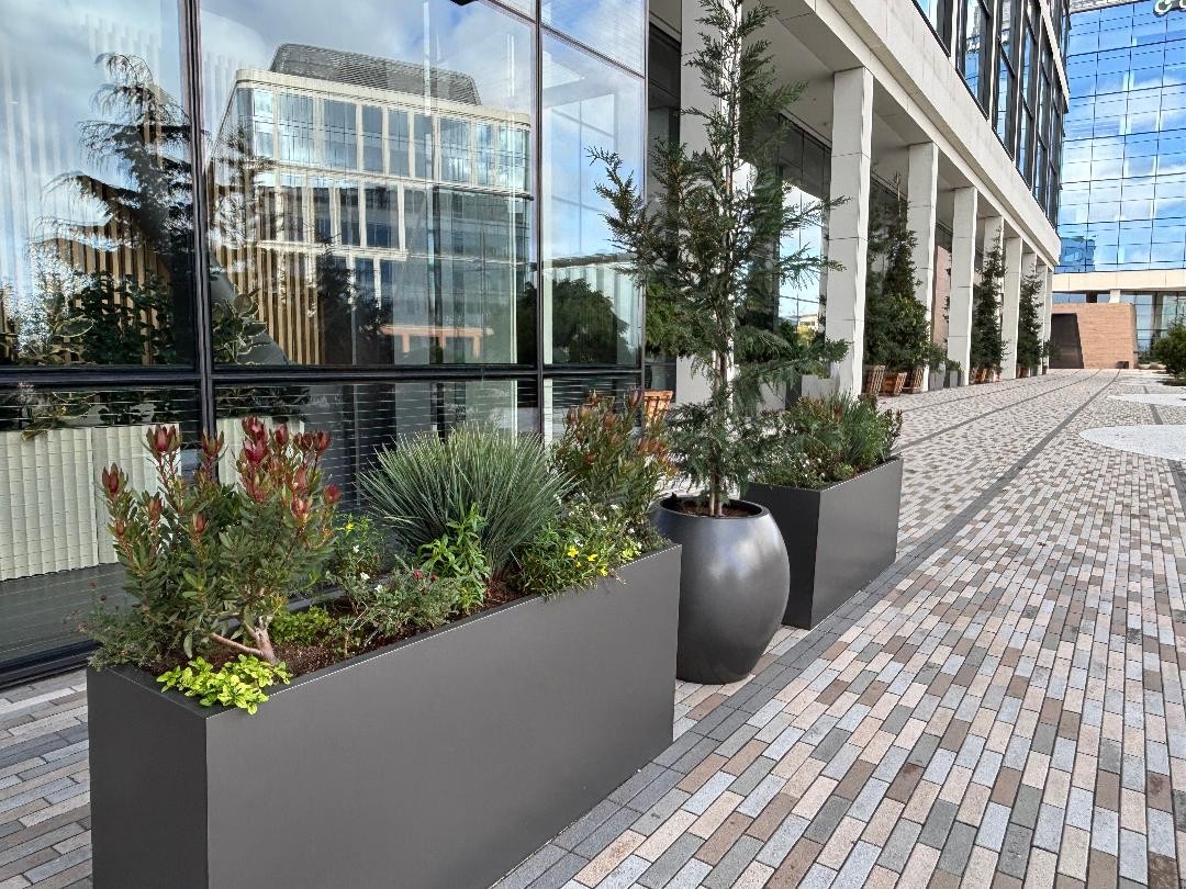 After image 2 of Stripe Oyster Point project