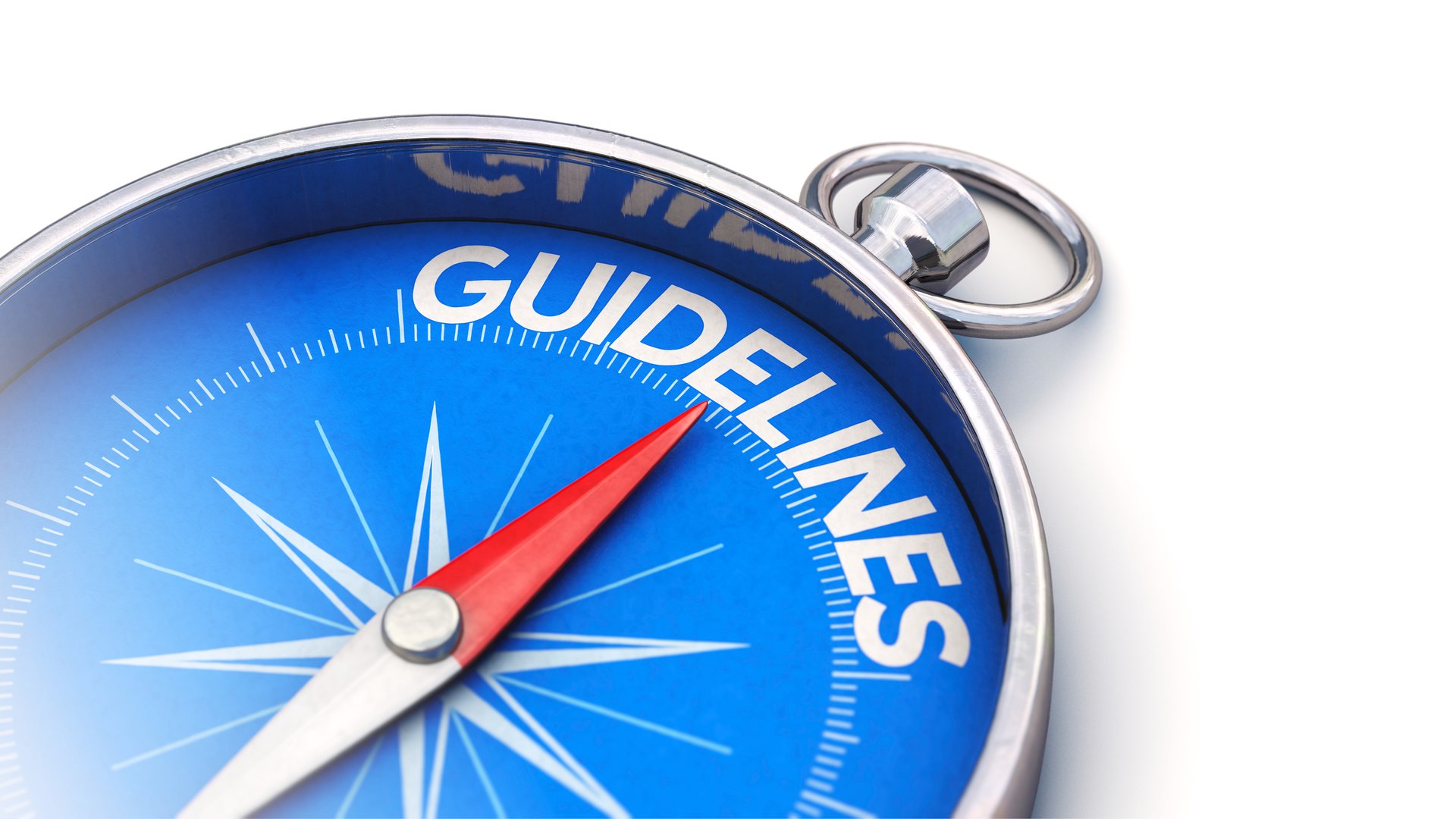 Symbolic imgae: Compass needle pointing towards guidelines