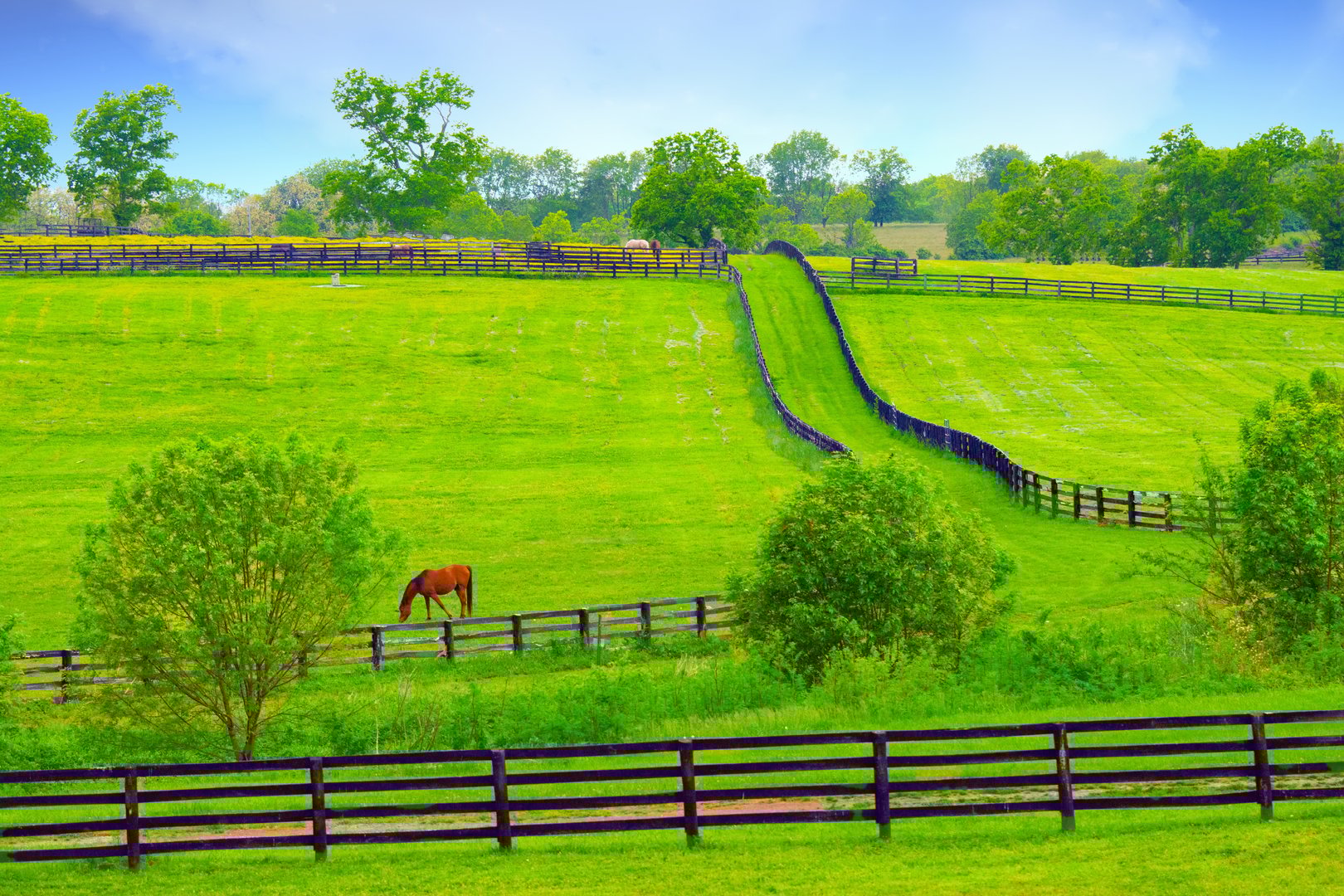 Horse Pasture with fences- Lexington, Kentucky