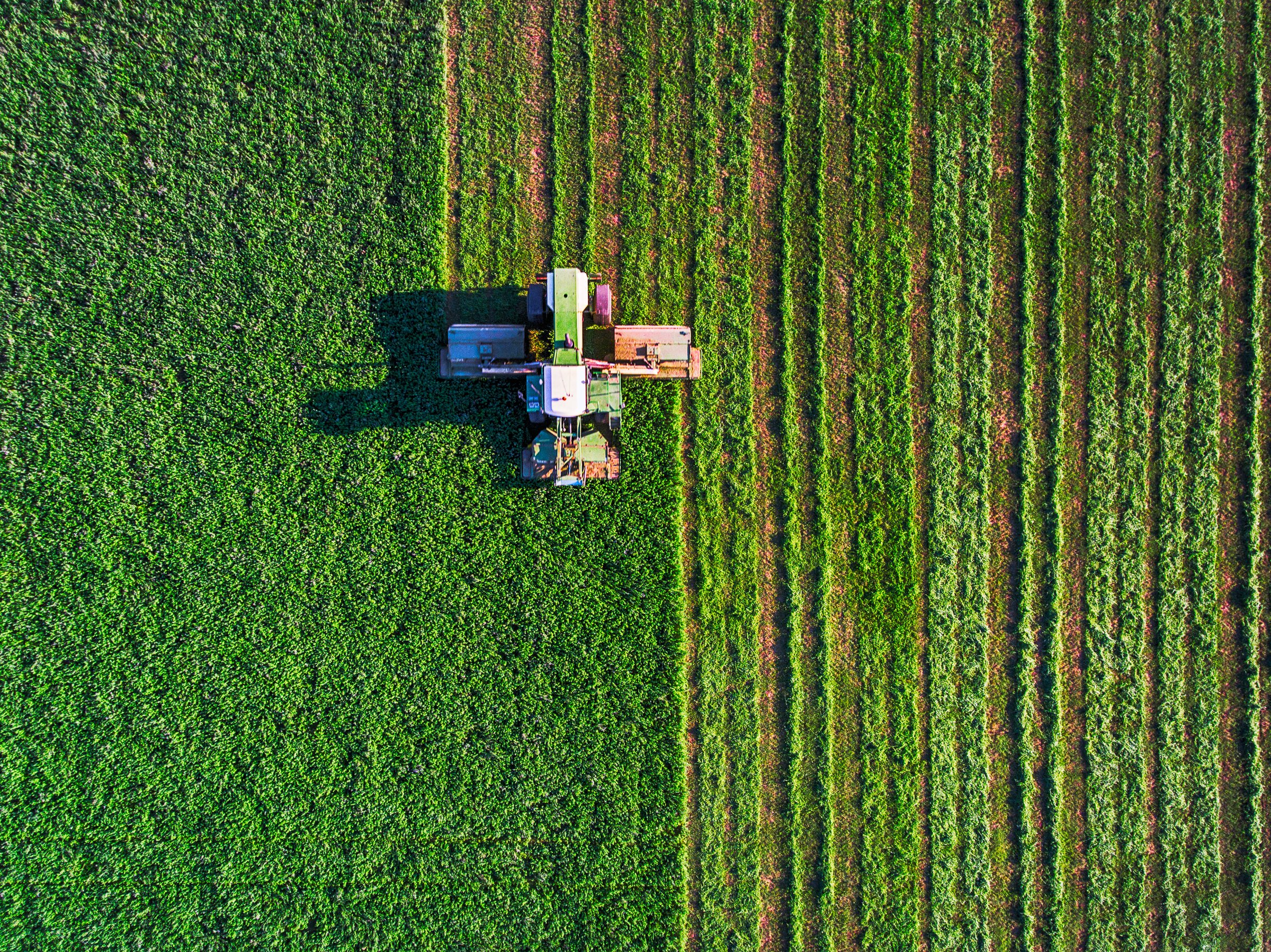 Organic farm green fields landscape