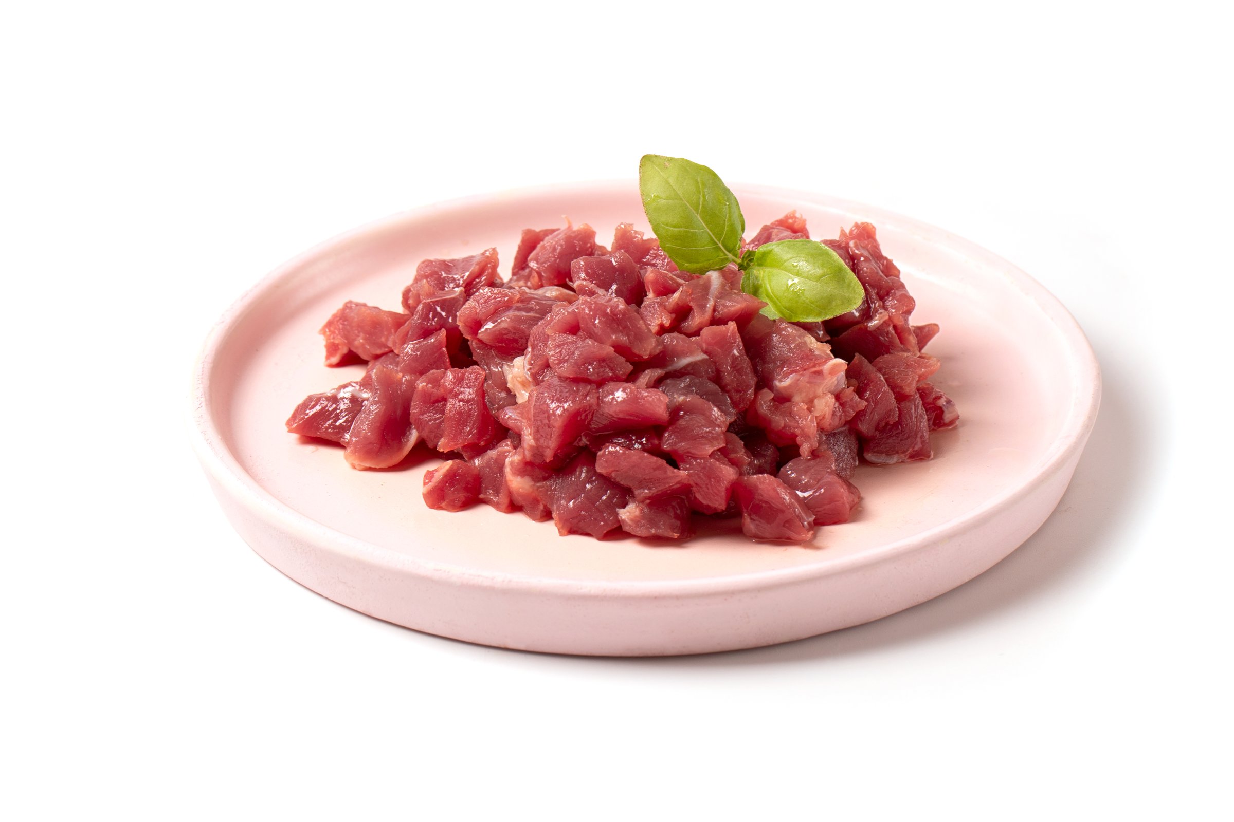 Hund und Katze zusammen