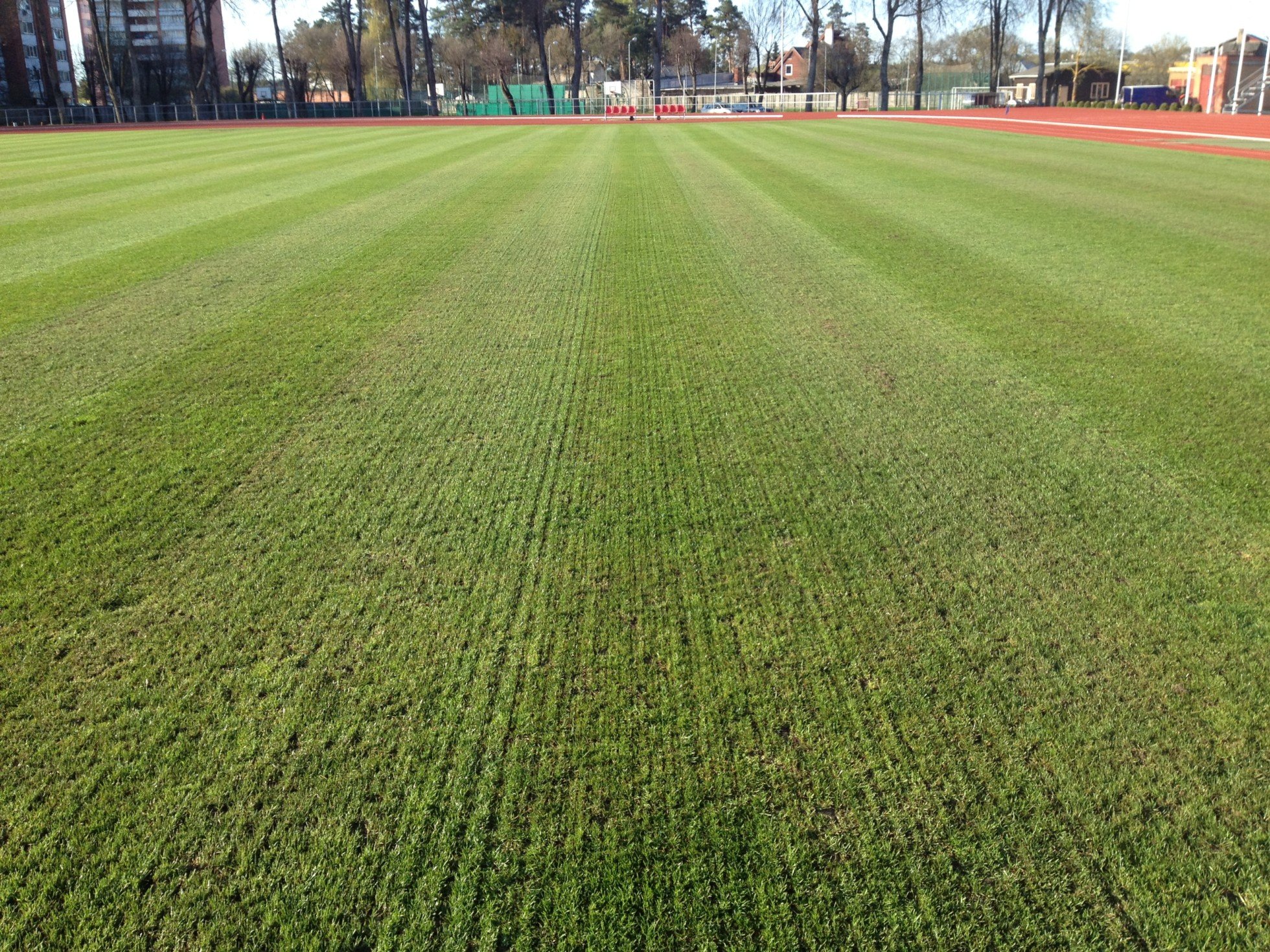 Verticutting lawn care