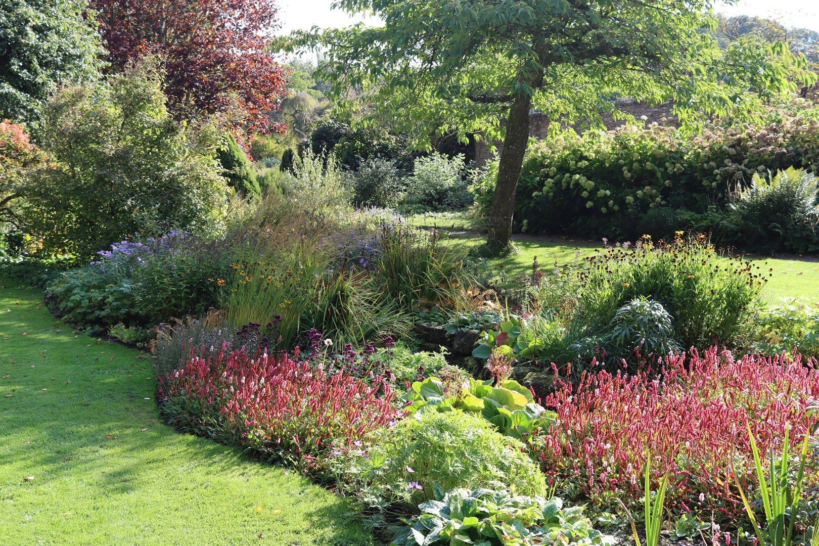 Colourful flower beds in a garden in summer