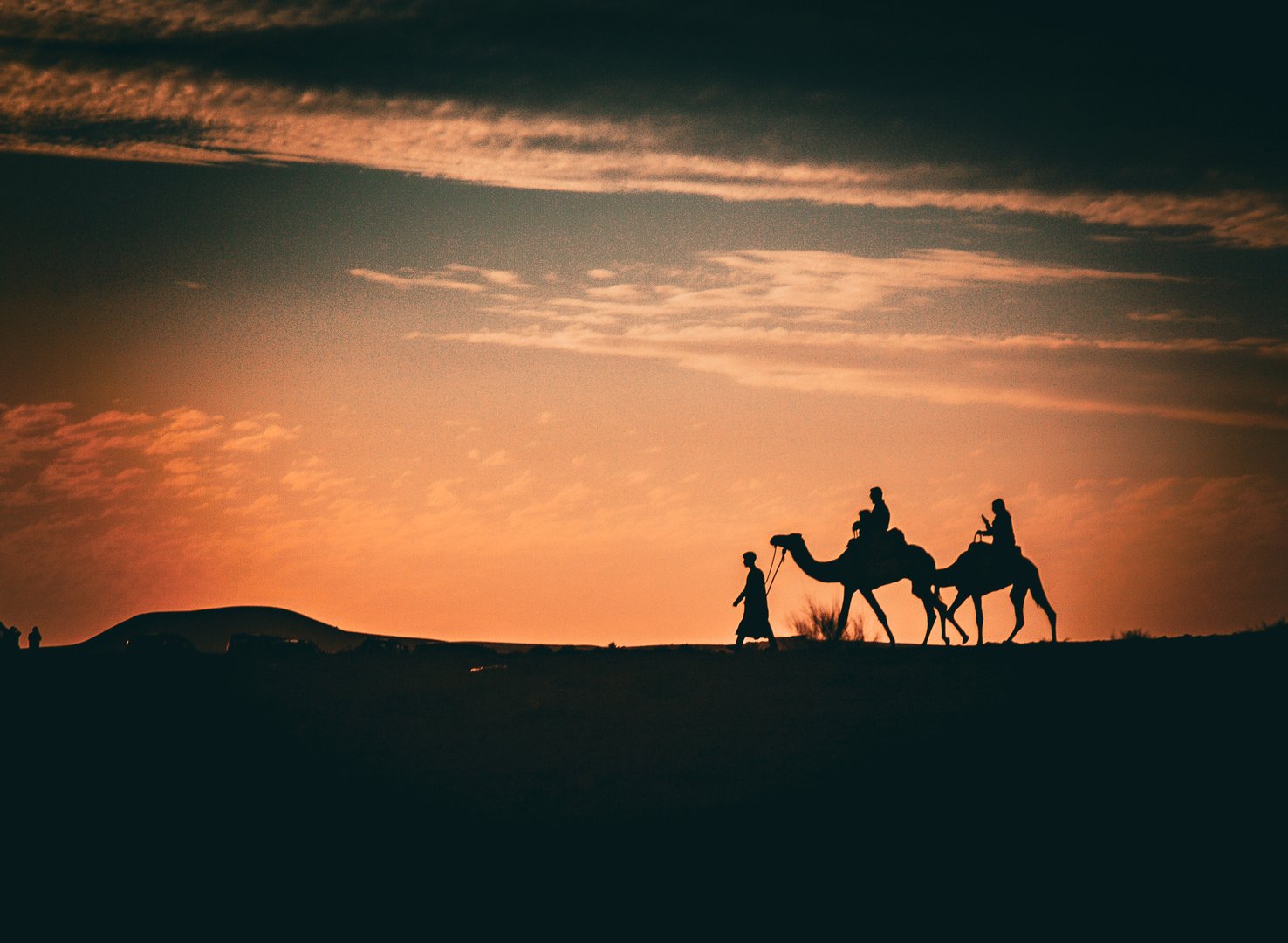 Silhouette of man leading two camels at sunset in Agafay desert, Morocco