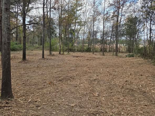 MEEN Mallard Land Management