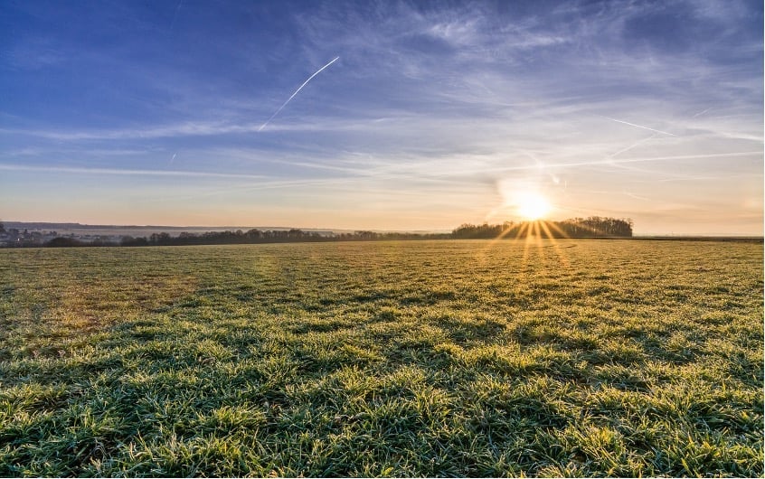 Sunrise over a grassy field with trees on the horizon and a clear blue sky above.